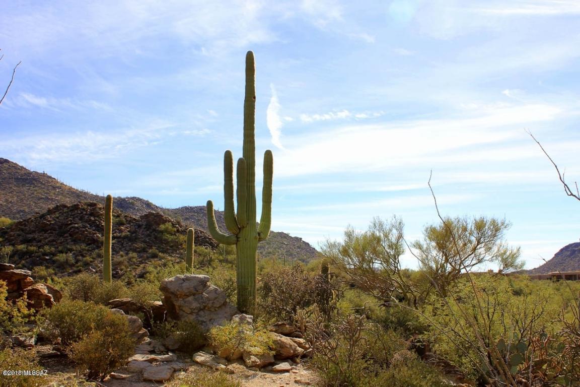 Canyon Pass II At Dove Mountain (49-110) - Land