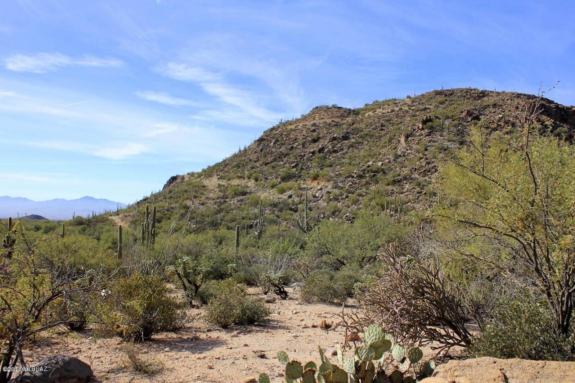 Canyon Pass II At Dove Mountain (49-110) - Land