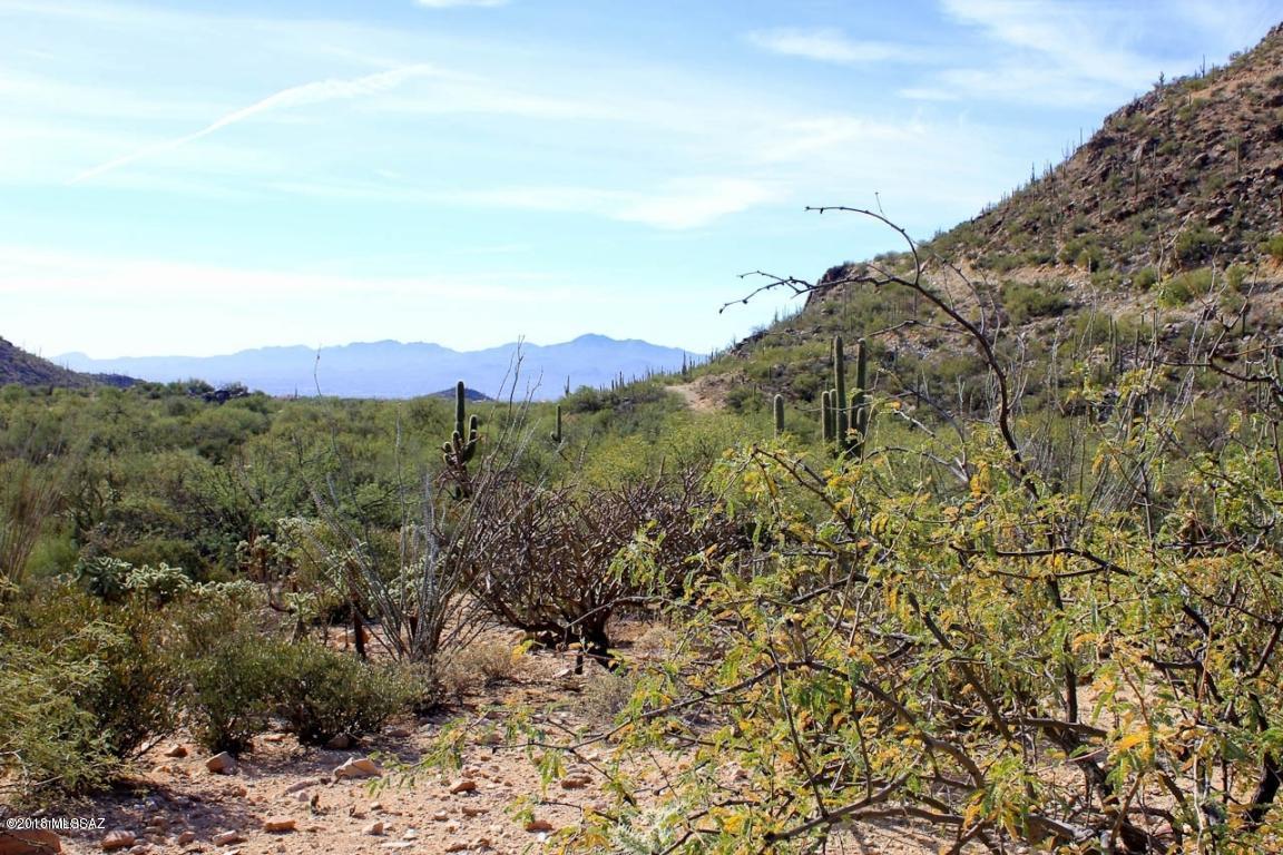 Canyon Pass II At Dove Mountain (49-110) - Land