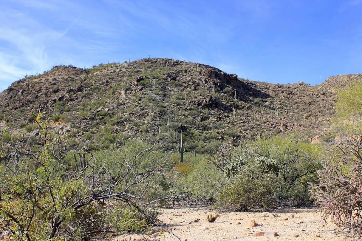 Canyon Pass II At Dove Mountain (49-110) - Land