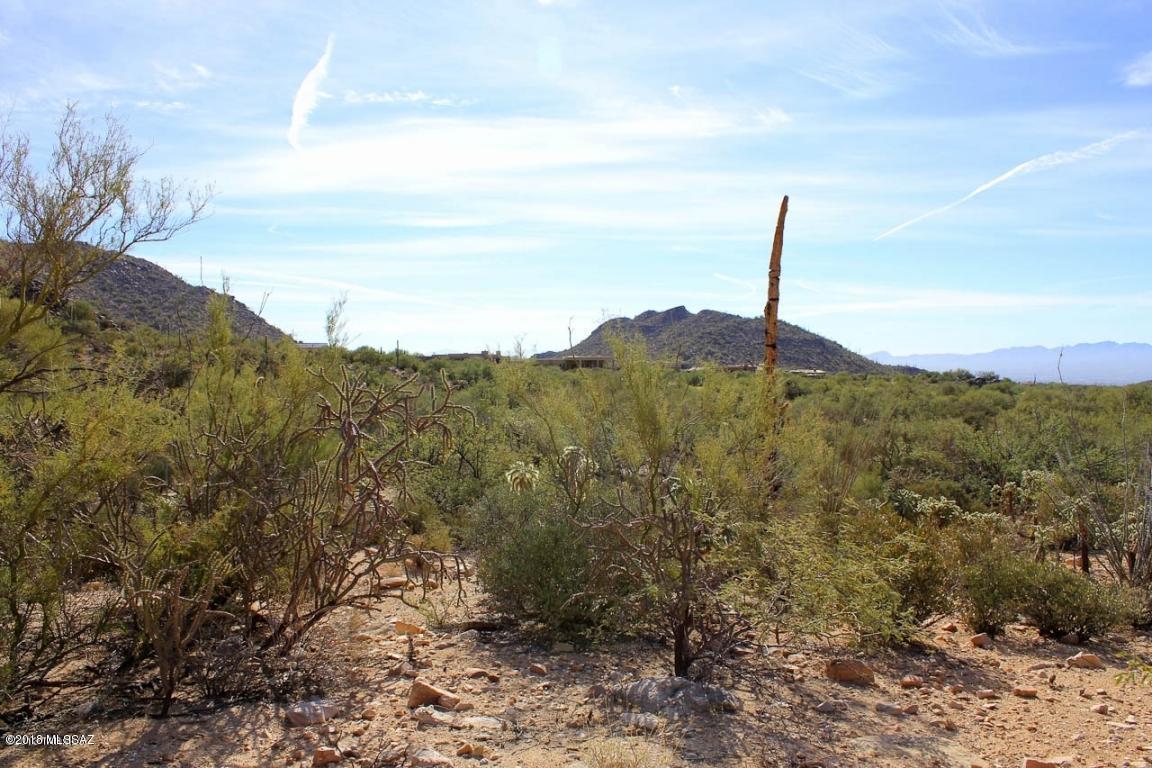 Canyon Pass II At Dove Mountain (49-110) - Land