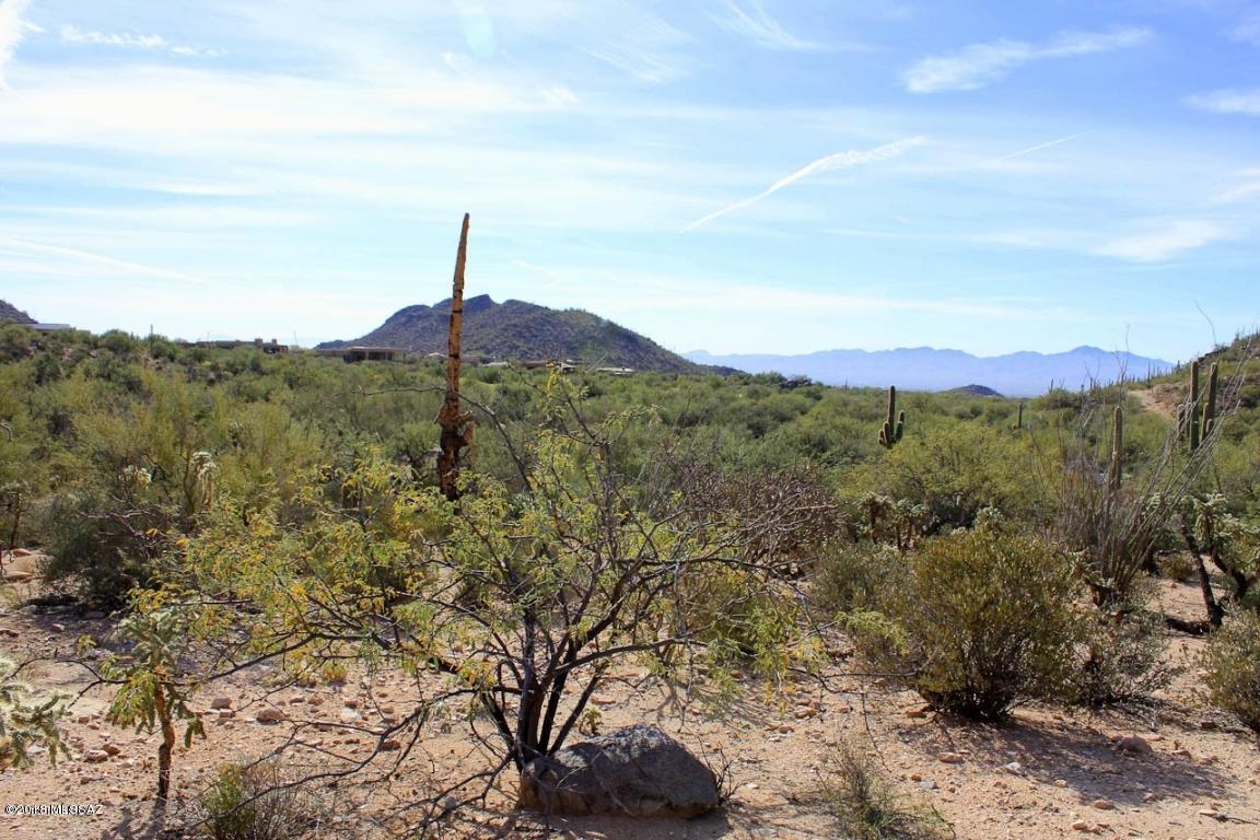 Canyon Pass II At Dove Mountain (49-110) - Land