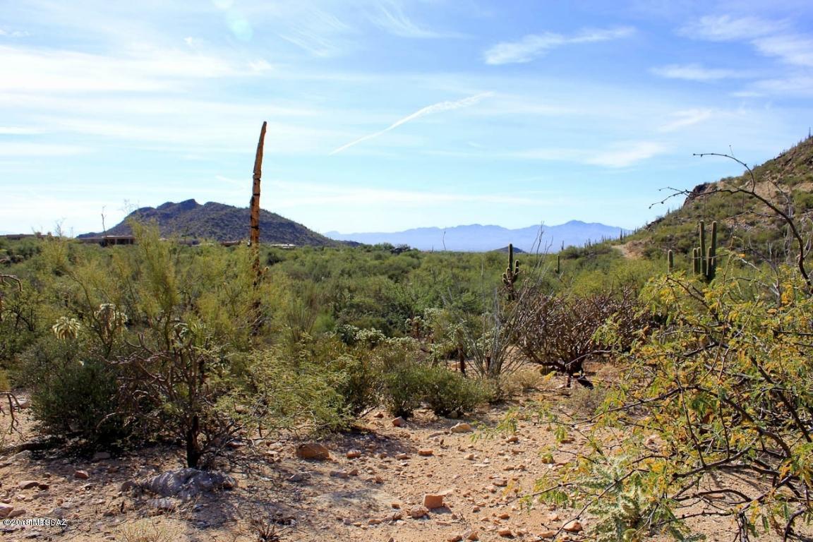 Canyon Pass II At Dove Mountain (49-110) - Land