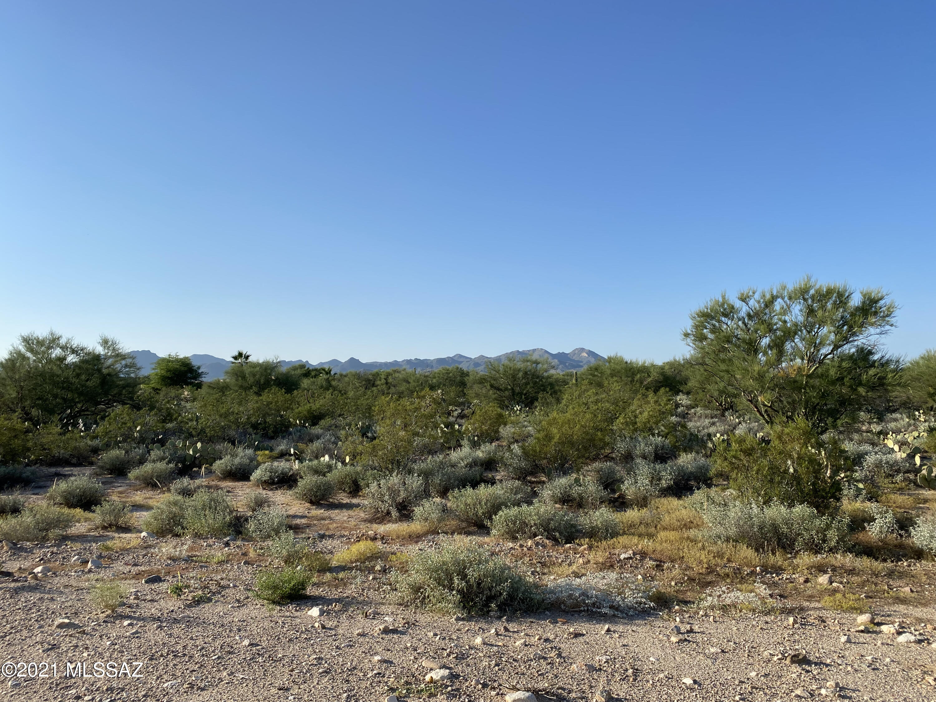 Coyote Ridge (1-109) - Land