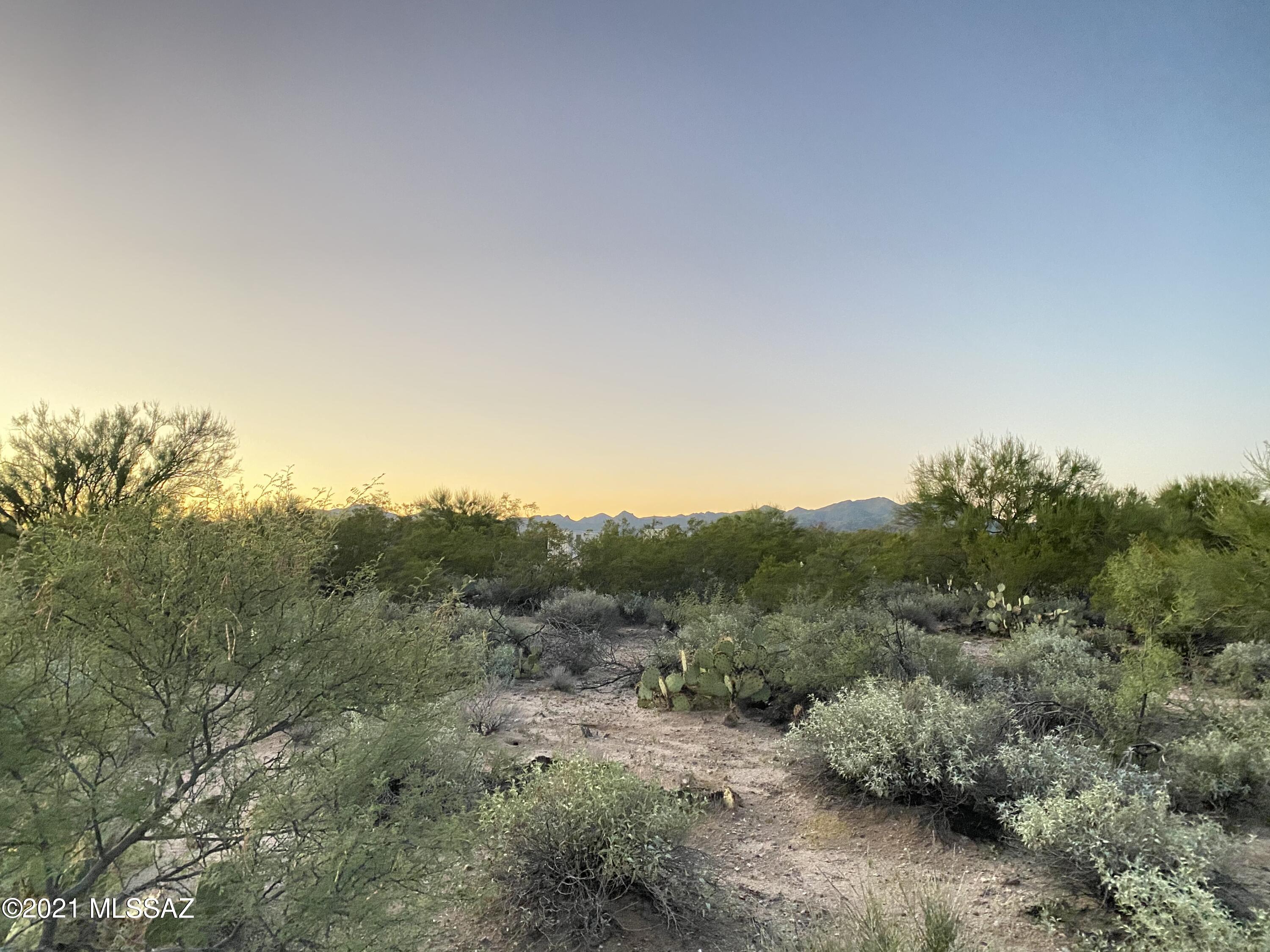 Coyote Ridge (1-109) - Land