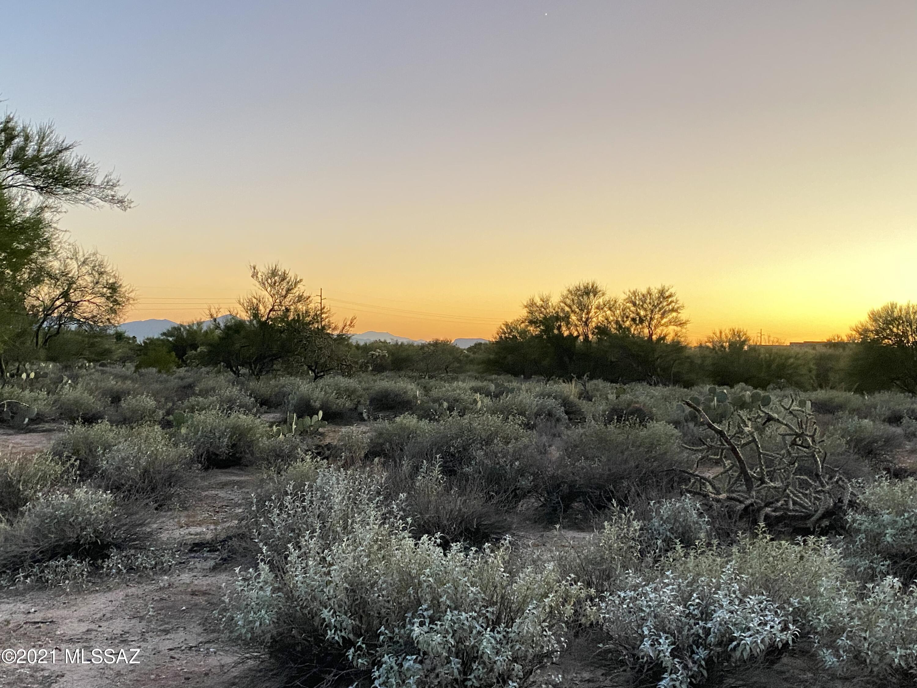 Coyote Ridge (1-109) - Land