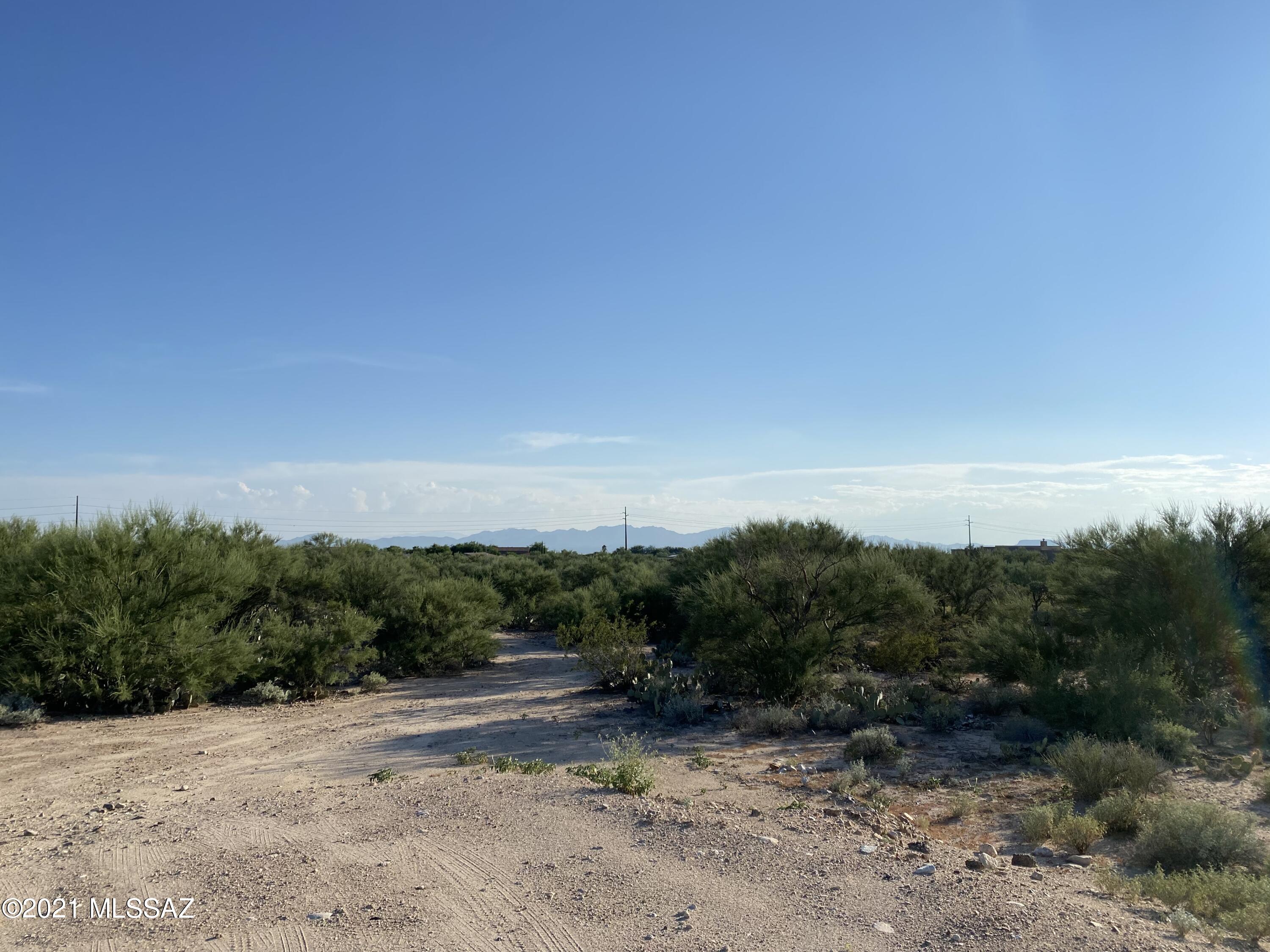 Coyote Ridge (1-109) - Land