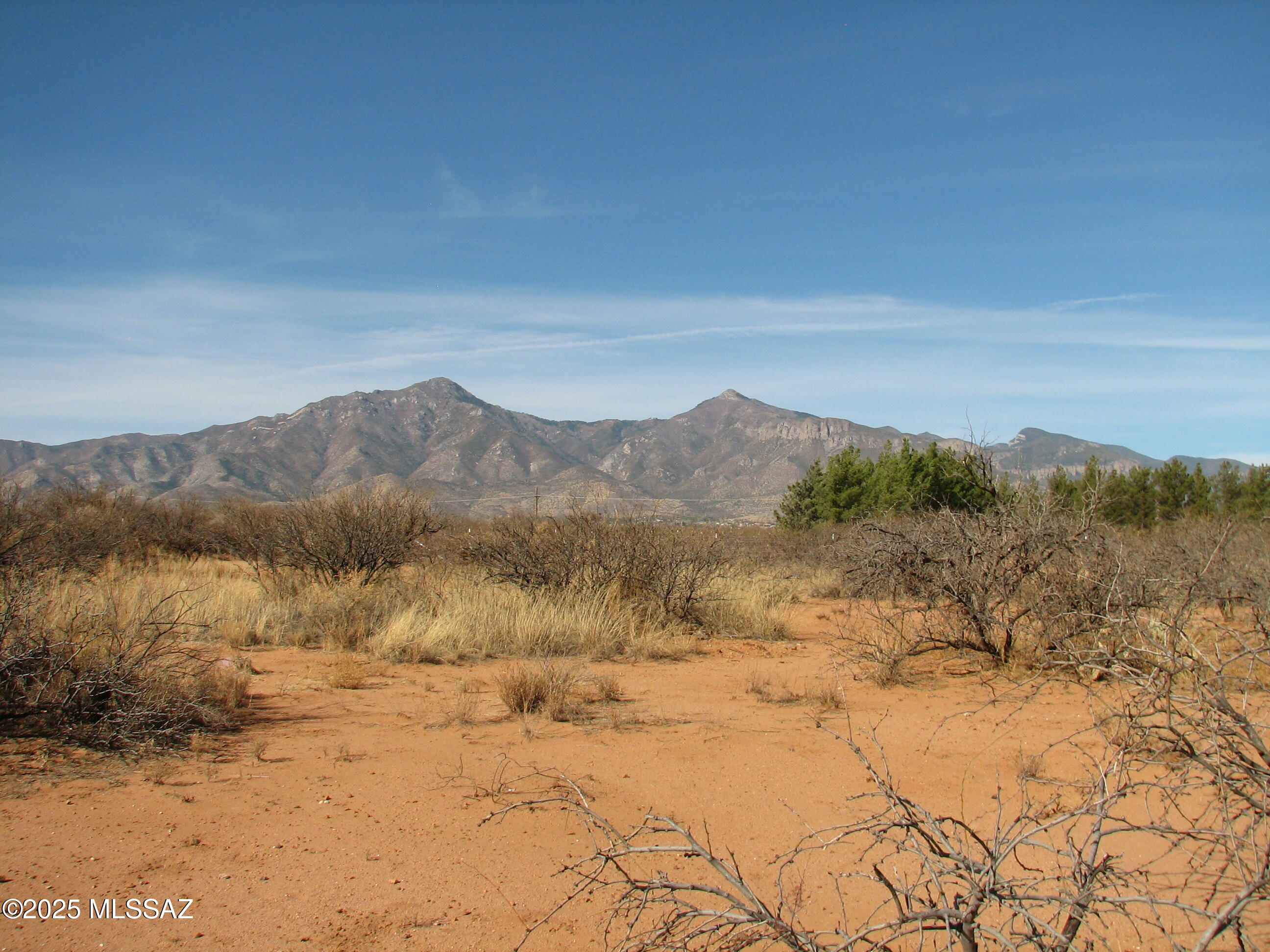 This property has it all !  Level, just 660 ft off Paved Moson Road, Electric at the East Corner, hard surface dirt road frontage, horses, chickens and children allowed !  Site built or manufactured homes allowed.  Sweeping views of the mountains, great native vegetation including old growth mesquite trees and huge prickly pear cacti.
Good usable land, no washes ! Convenient to Sierra Vista yet country living at its best !