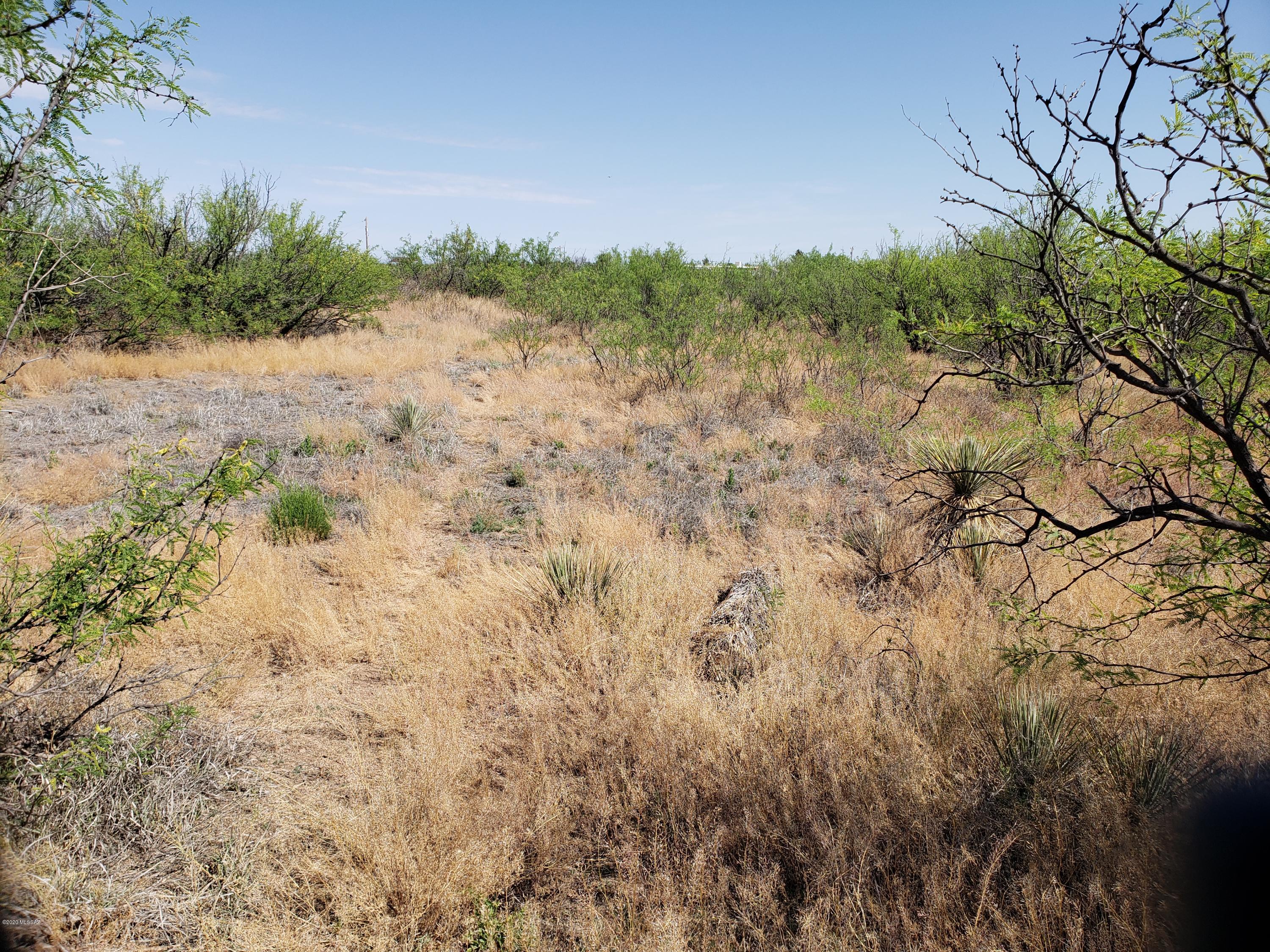 Out Of Pima County - Land