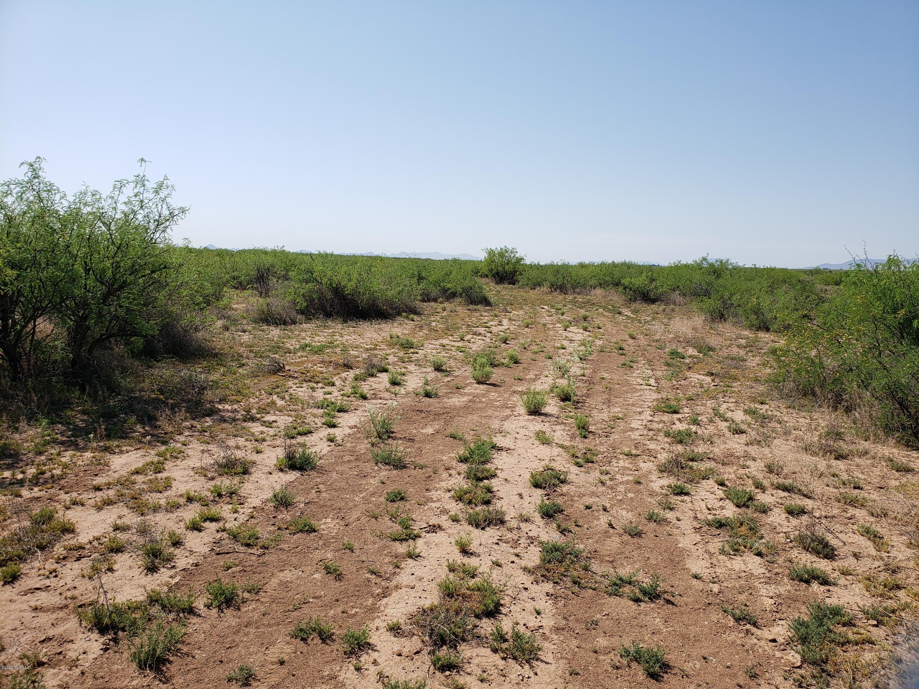 Out Of Pima County - Land