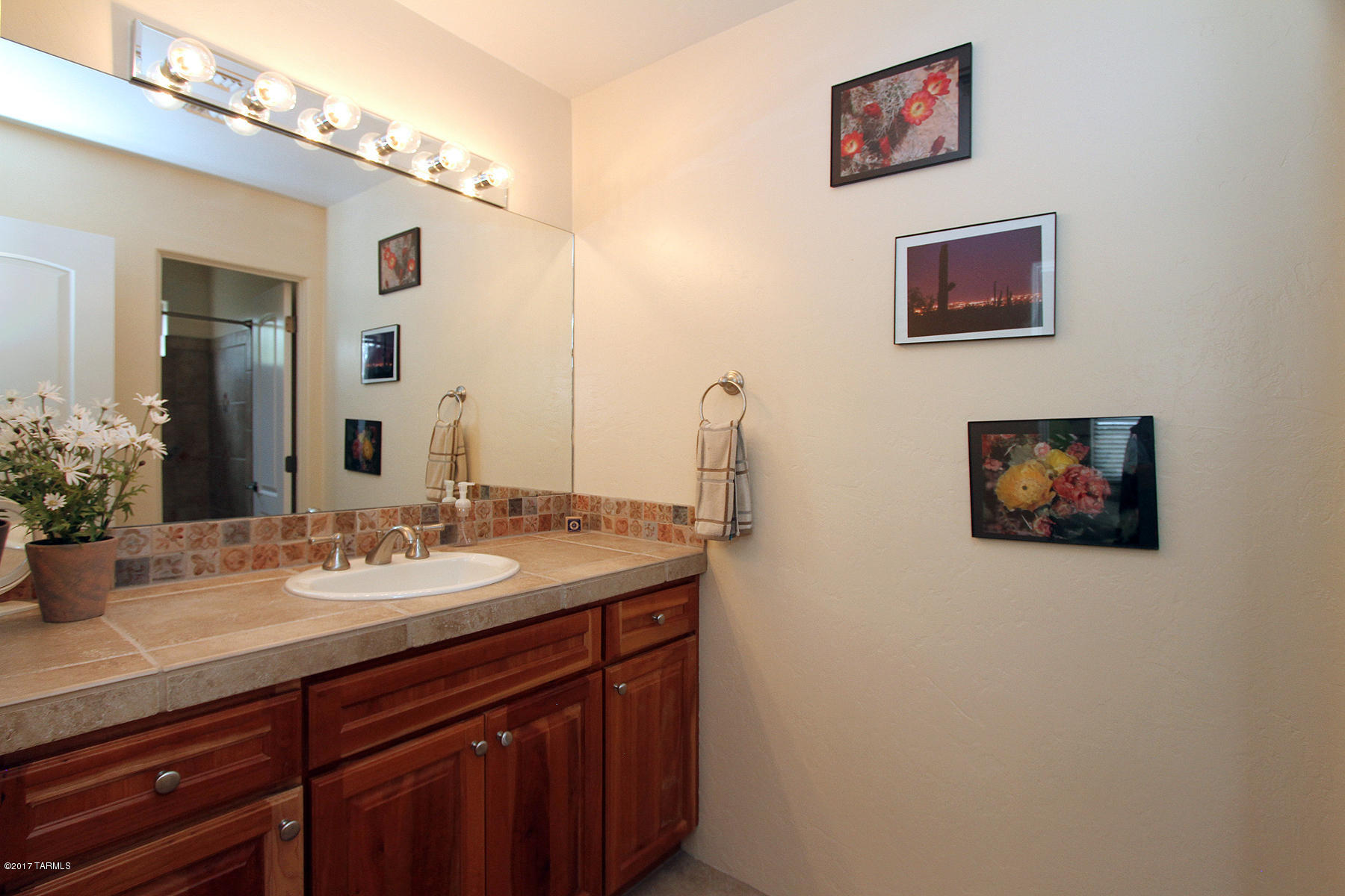 Tohono Ridge (1-21) - Residential