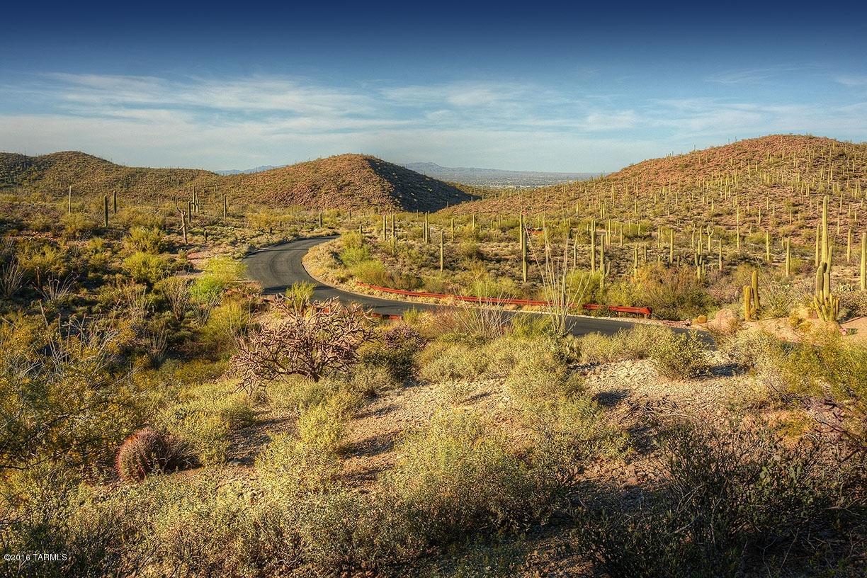 Estates at Starr Pass (The) - Land