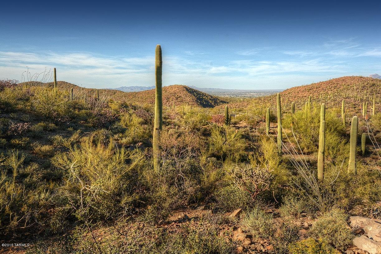 Estates at Starr Pass (The) - Land