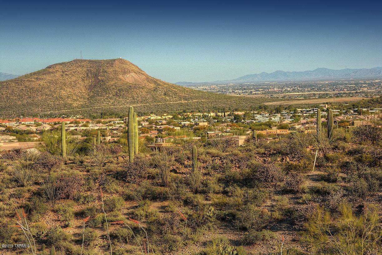 Estates at Starr Pass (The) - Land