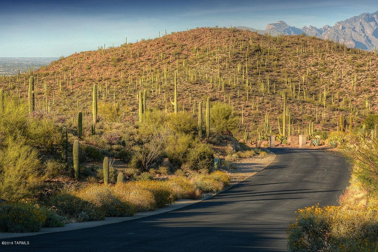 Estates at Starr Pass (The) - Land