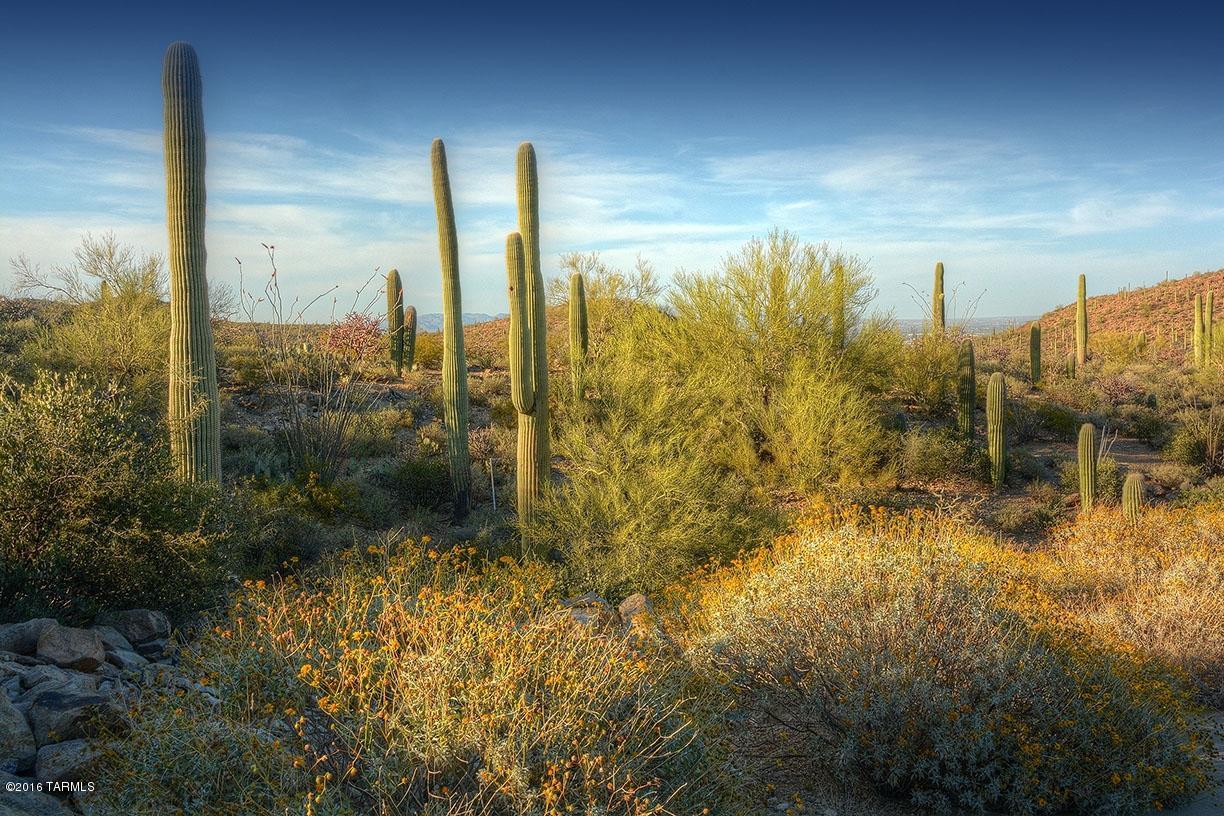 Estates at Starr Pass (The) - Land