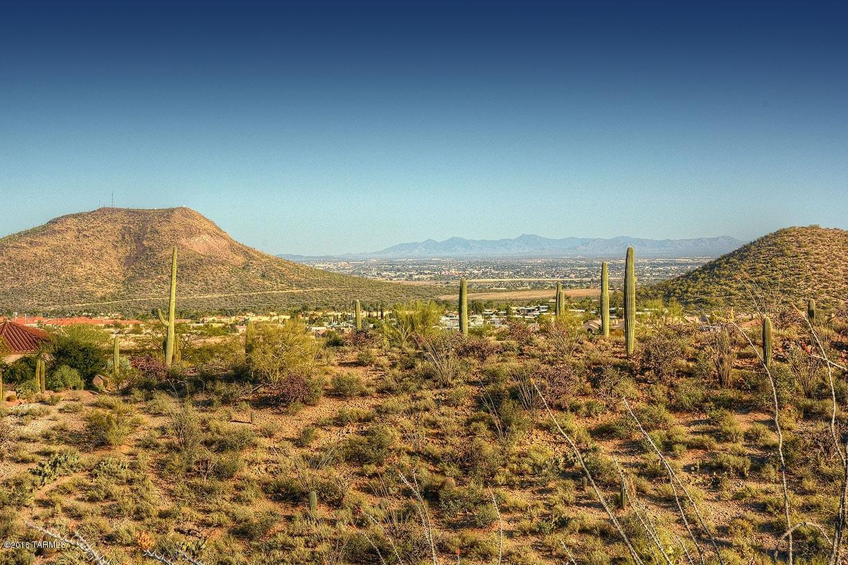 Estates at Starr Pass (The) - Land