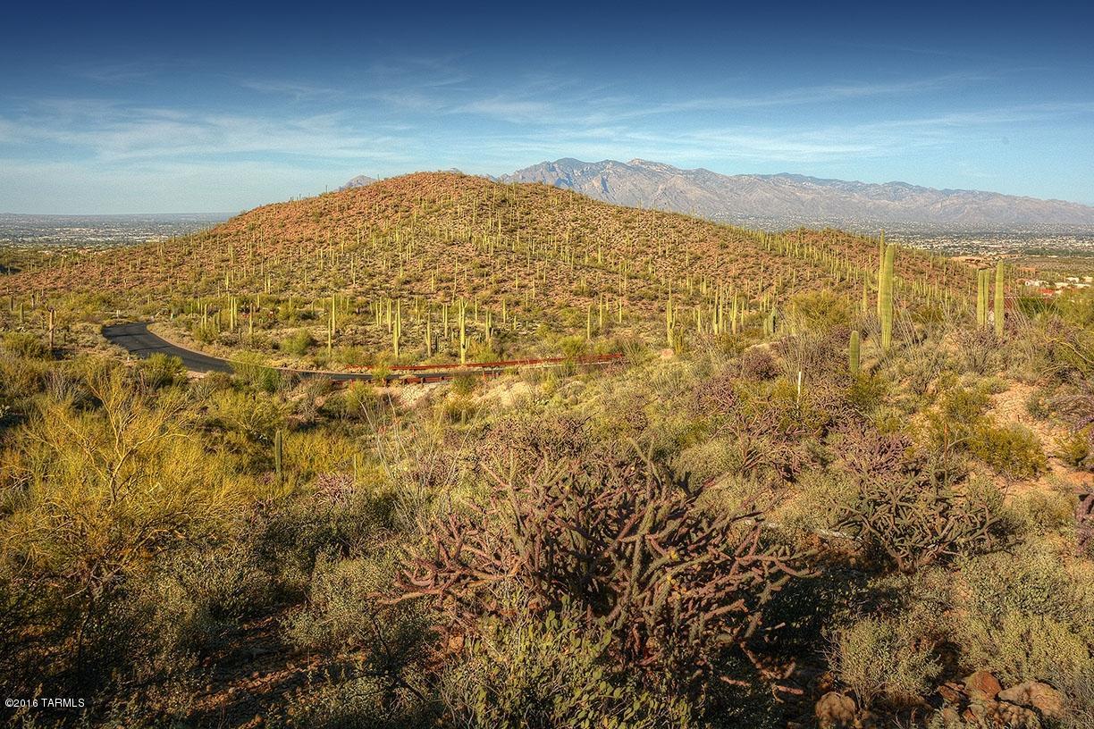 Estates at Starr Pass (The) - Land