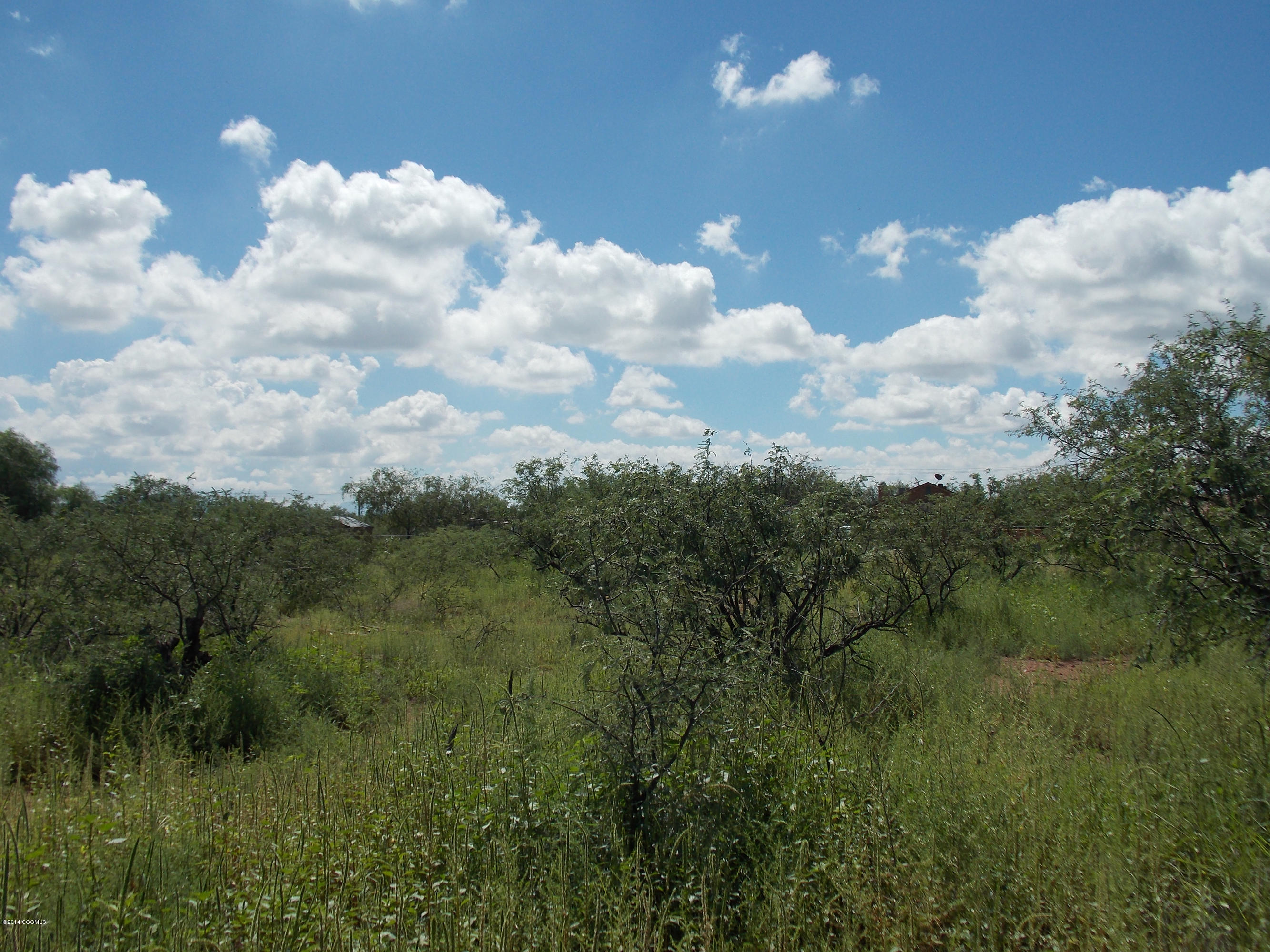 Rio Rico Ranchettes 10 - Land