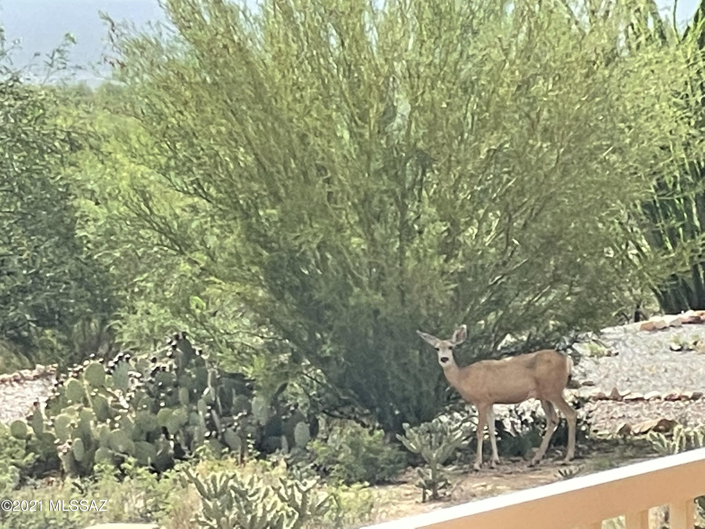 Diamond Bell Ranch - Tucson Unit 9 (Lots 58-375) - Residential