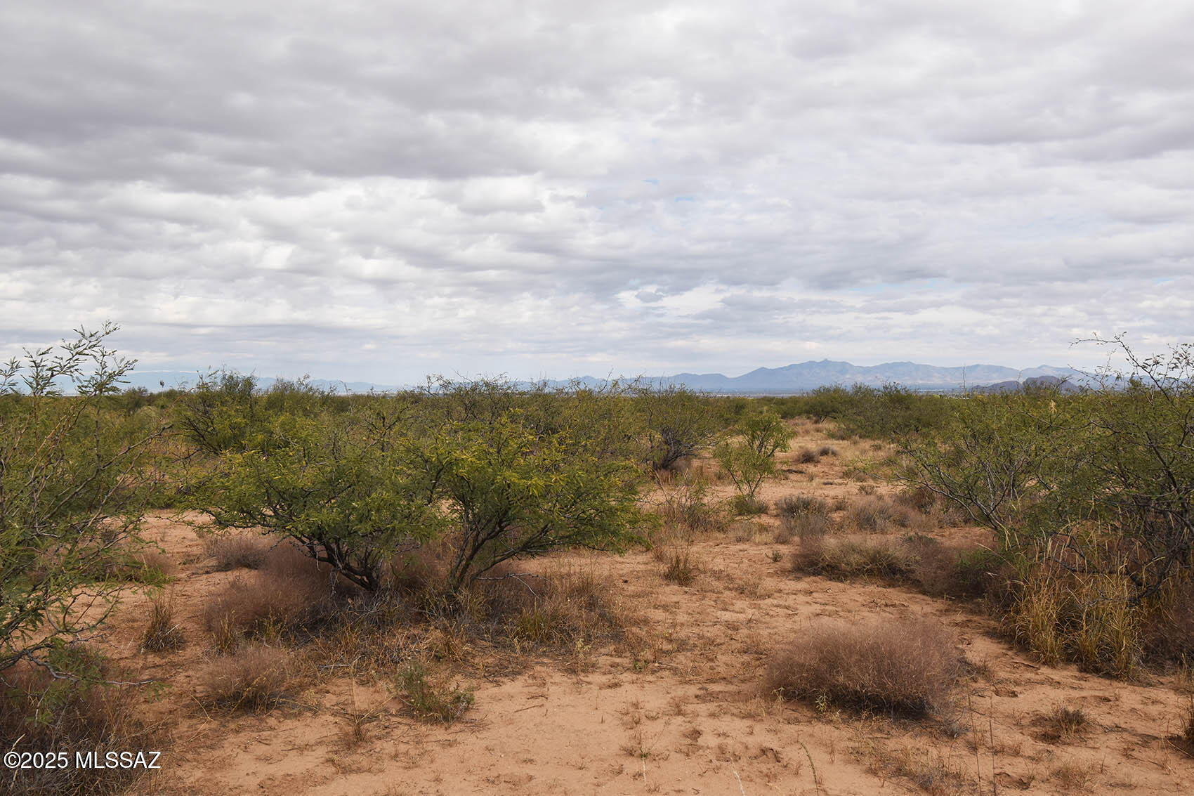Arizona Sun Sites - Land