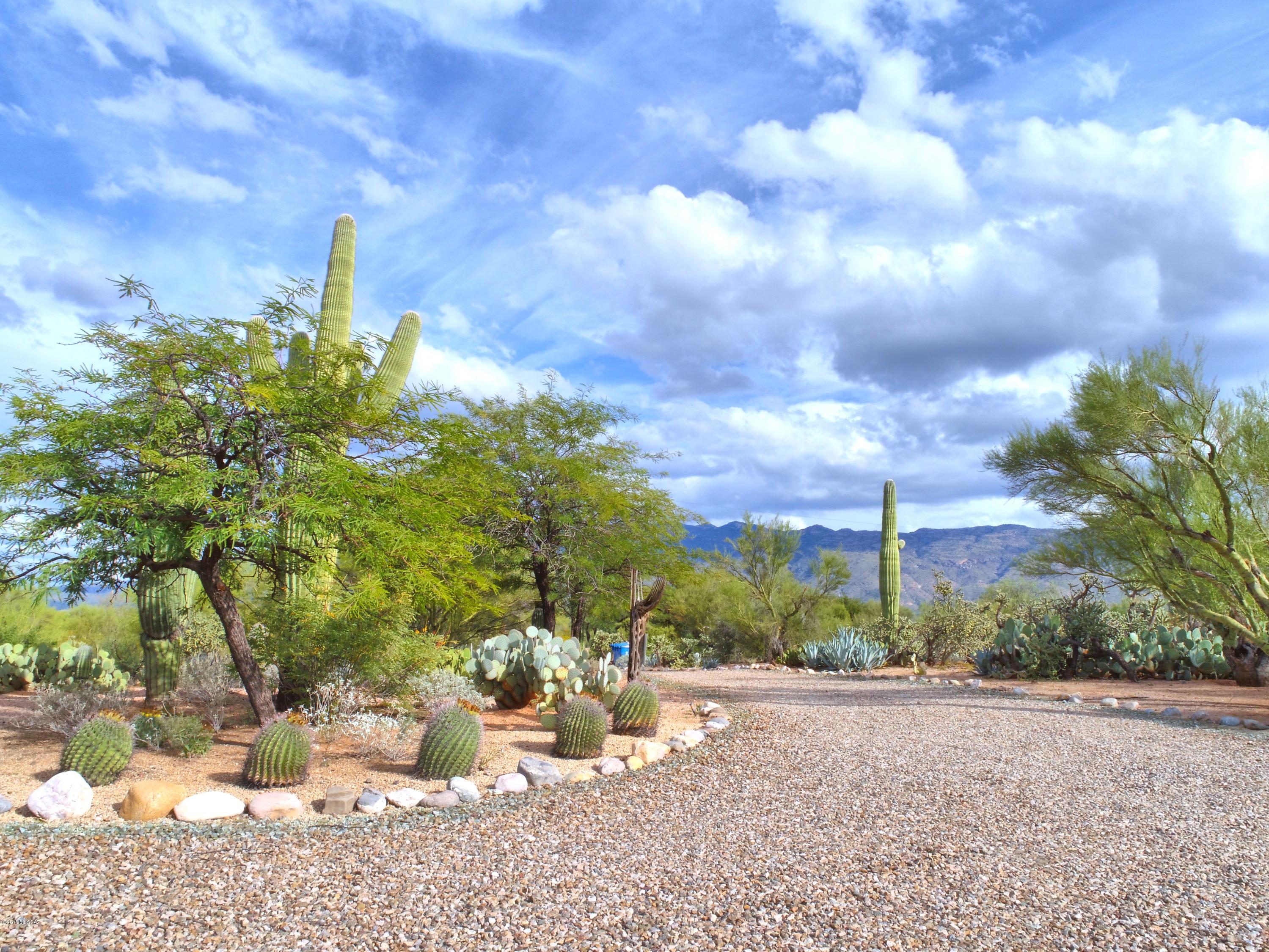 Saguaro Cerro Estates - Residential