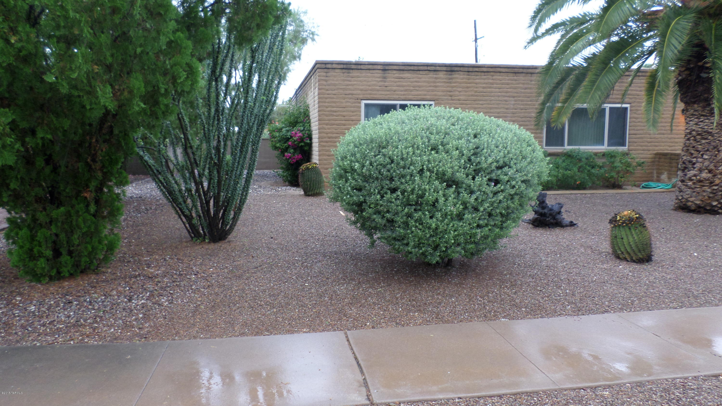 Rare find for this beautiful 4 bed/2 with den or office. Meticulous home with courtyard entrance and NO HOA! Spacious floor plan offering formal living/dining rooms, family room with fireplace, freshly painted, neutral palette, saltillo tile and new carpet throughout. Master suite with walk in closet, bonus room or home office with private door from the garage. Dual pane windows, split bedroom floor plan with very large bedrooms, remodeled bathrooms, 2 car garage. Backyard with park like setting offering breathtaking sunset views and lush landscape.