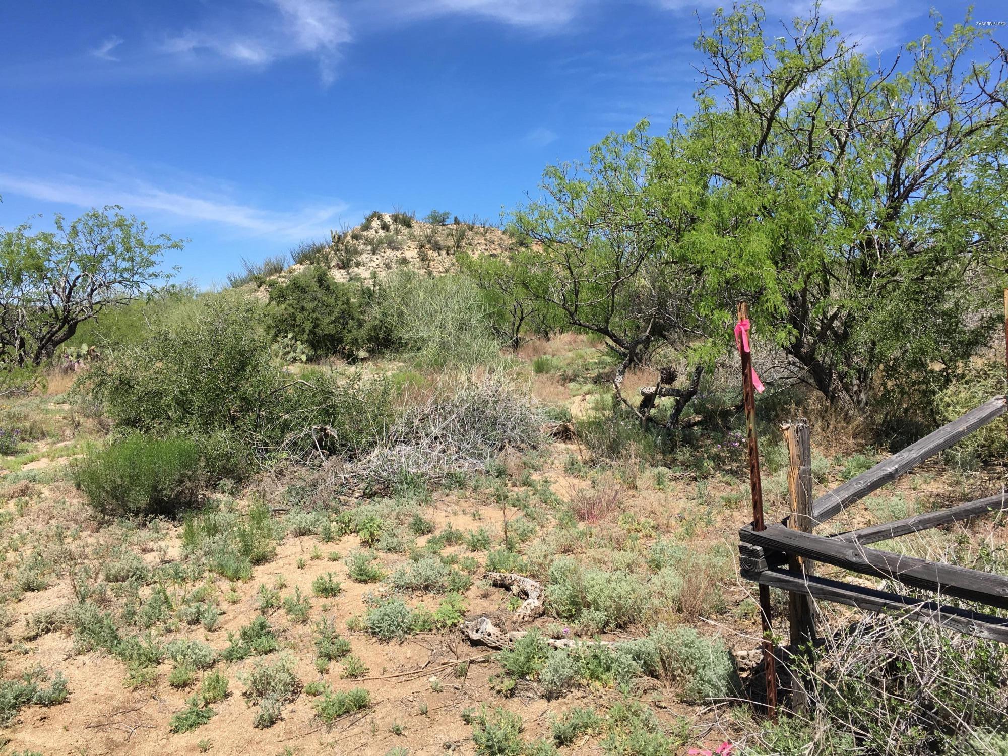 Great building sites on this quiet and scenic ranch land in a unique, private and secluded country setting, but still only minutes from I-19, Green Valley and Sahuarita.
Other parcels available in the area.
See also MLS #21910431
Taxes shown include more land