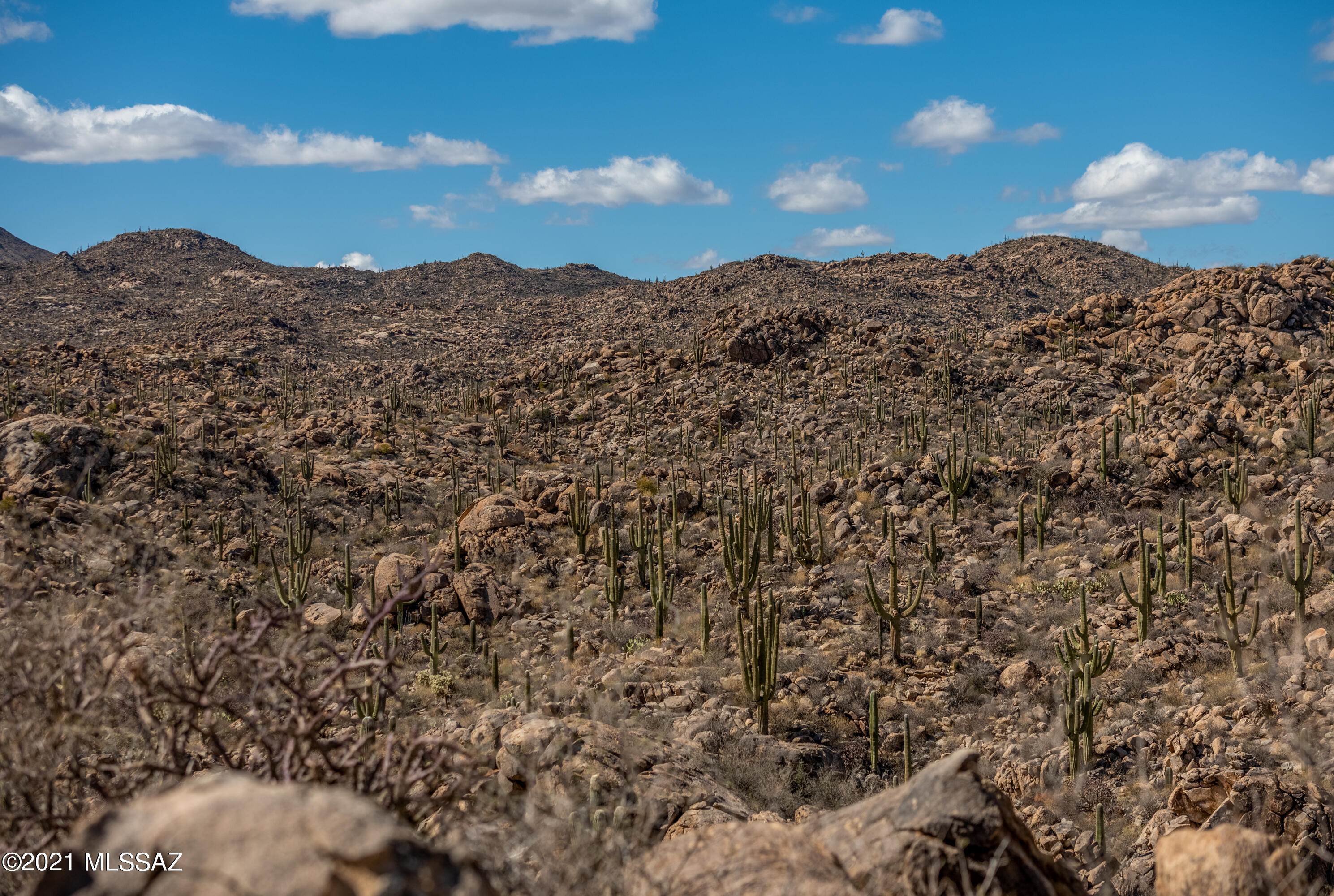 Stone Canyon IV - Land