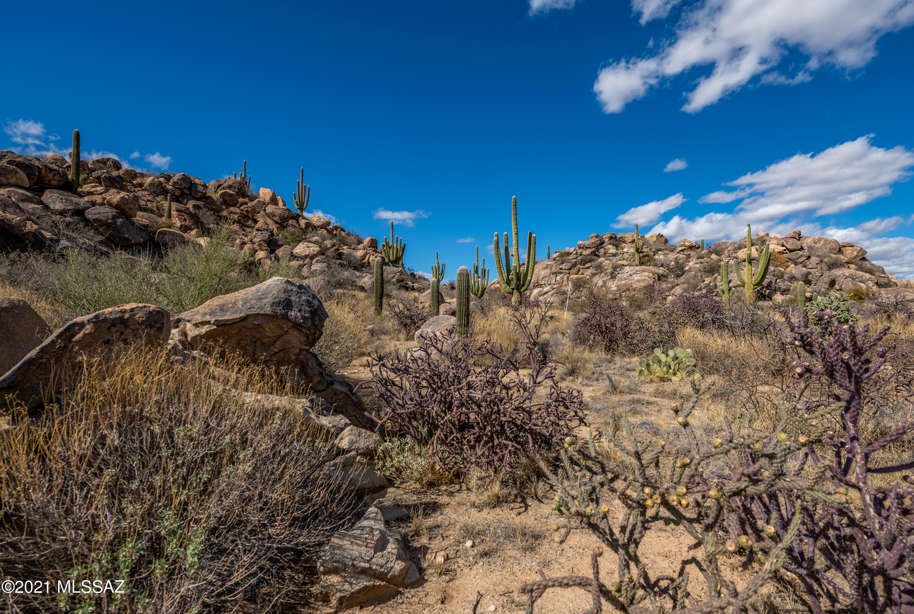 Stone Canyon IV - Land