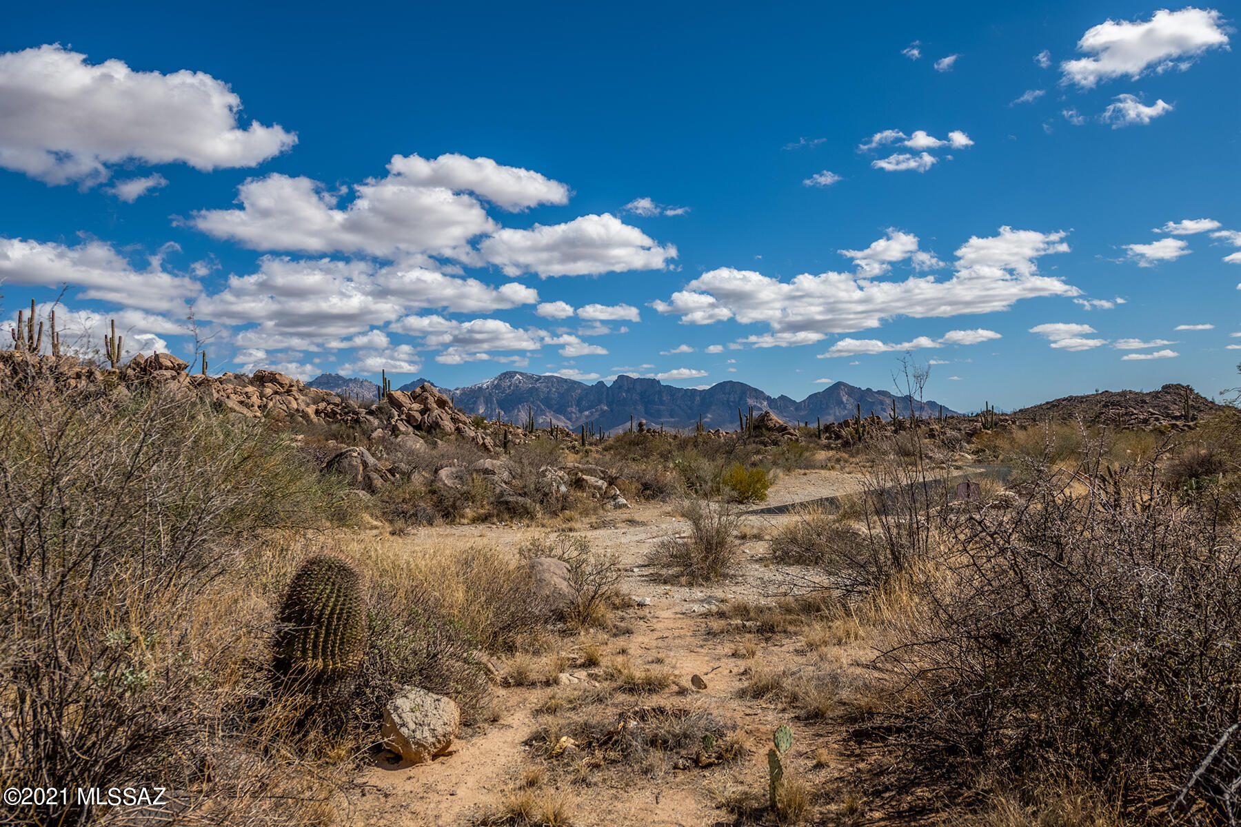 Stone Canyon IV - Land
