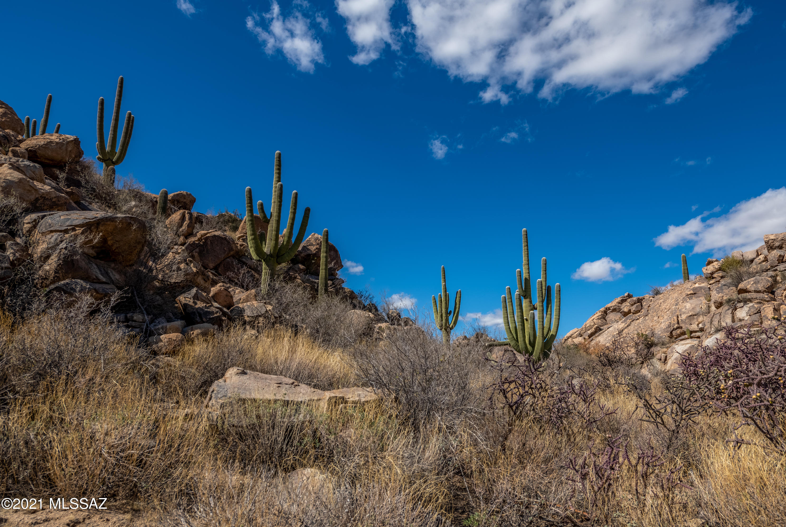 Stone Canyon IV - Land