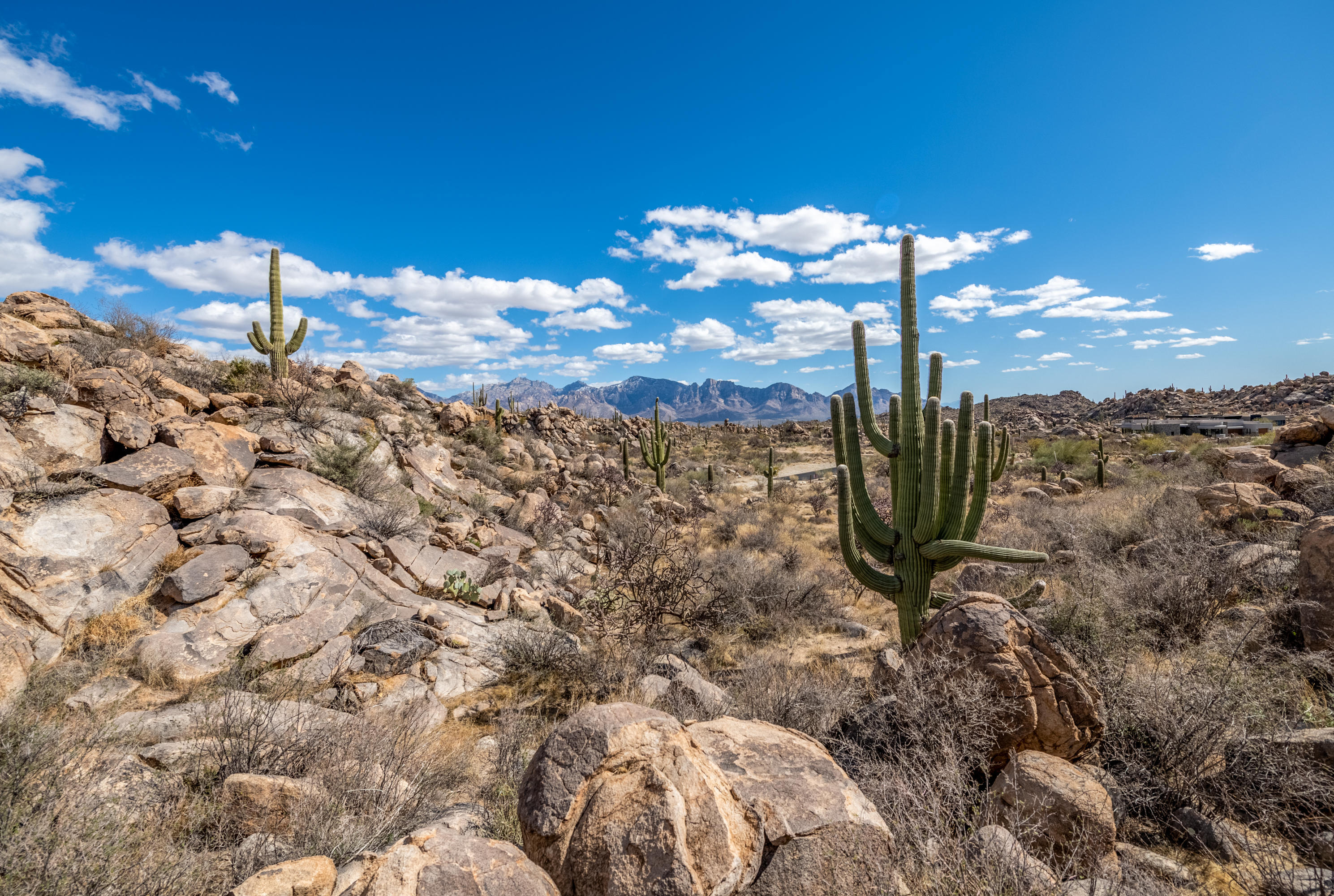 Stone Canyon IV - Land