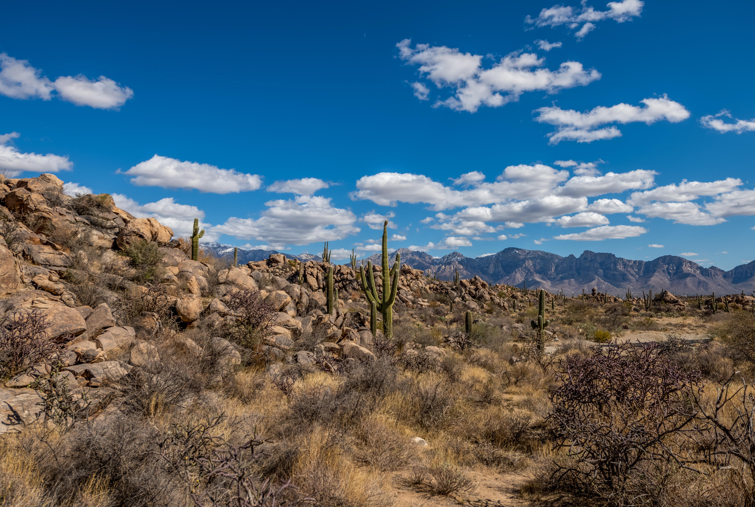 Stone Canyon IV - Land