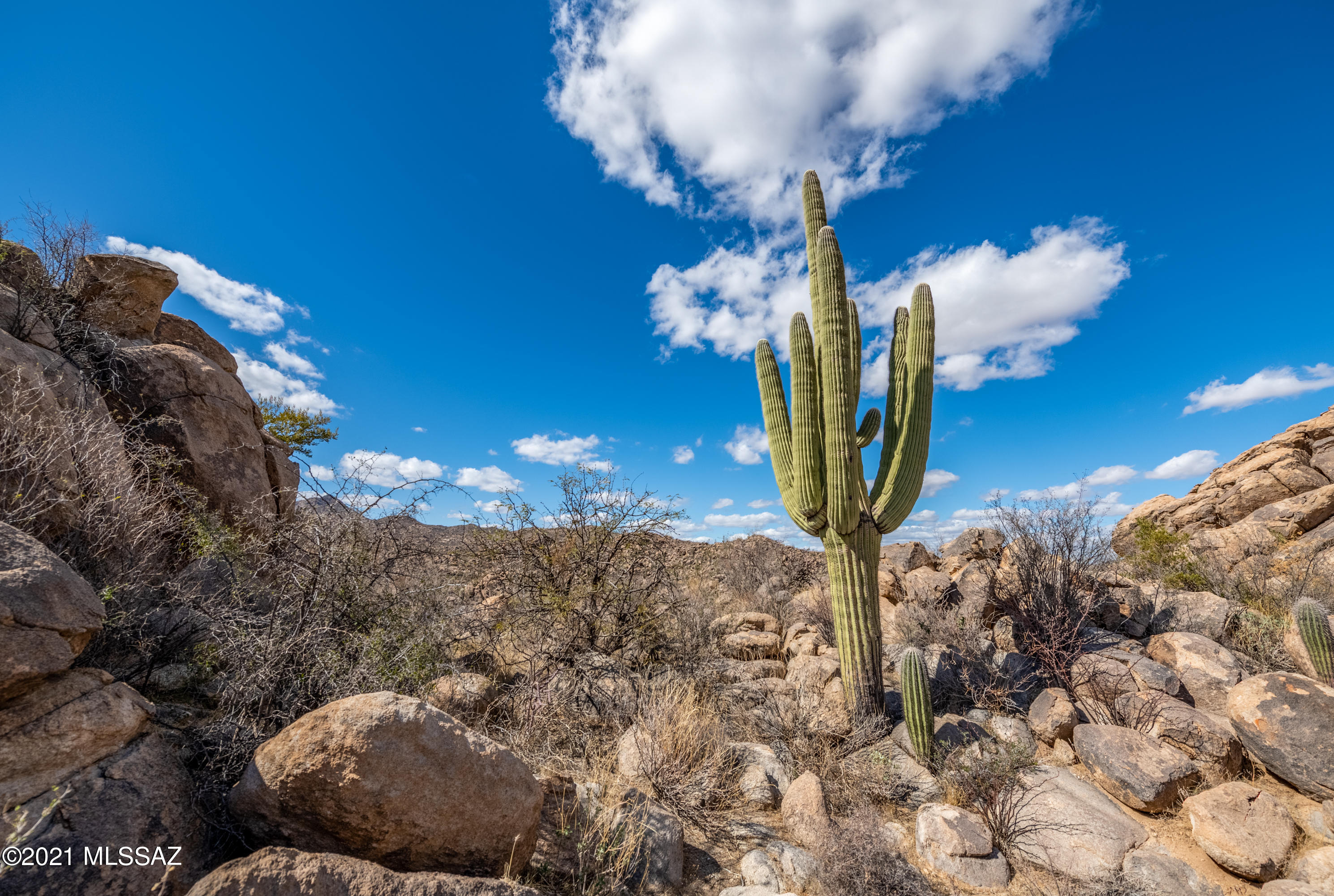 Stone Canyon IV - Land