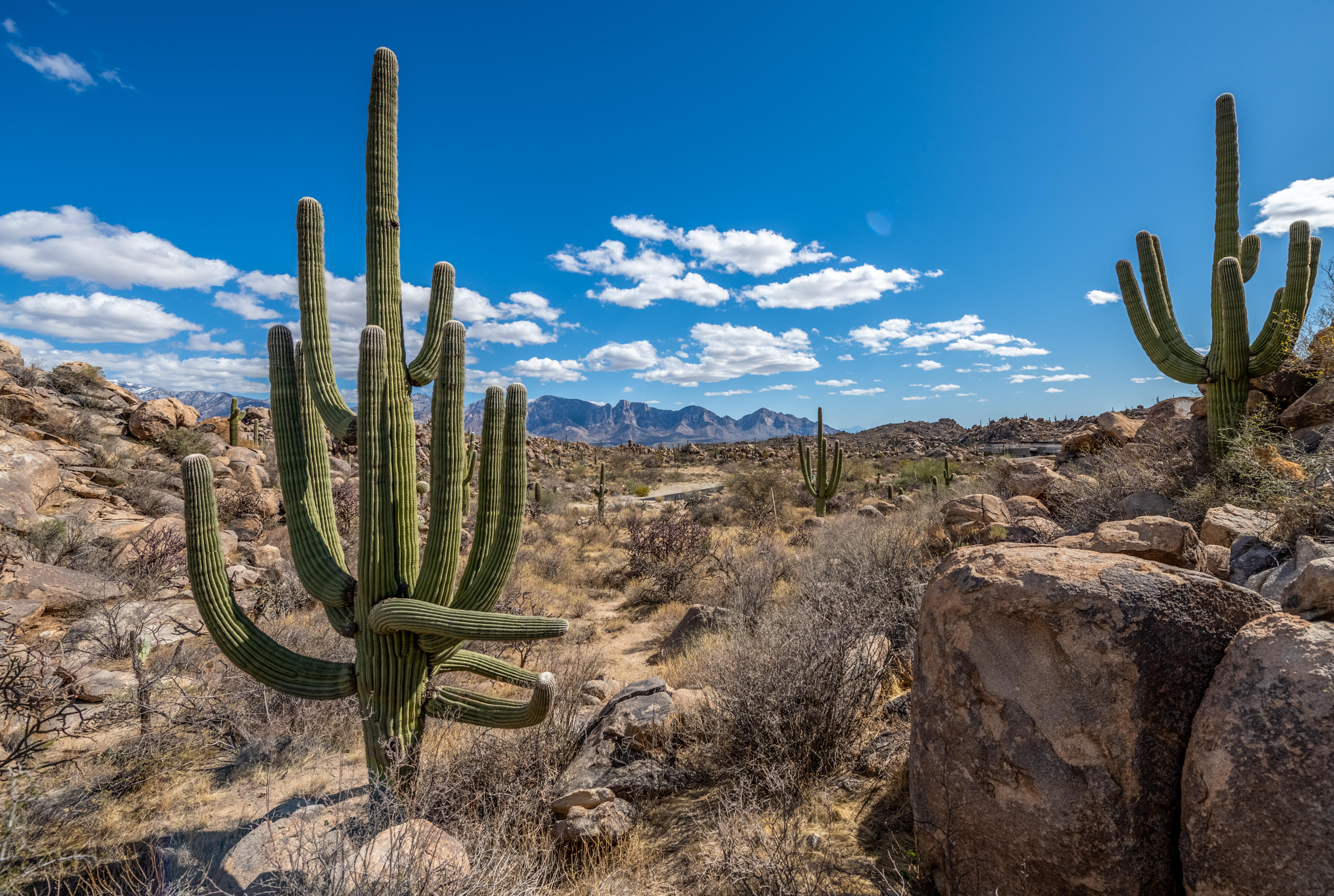 Stone Canyon IV - Land
