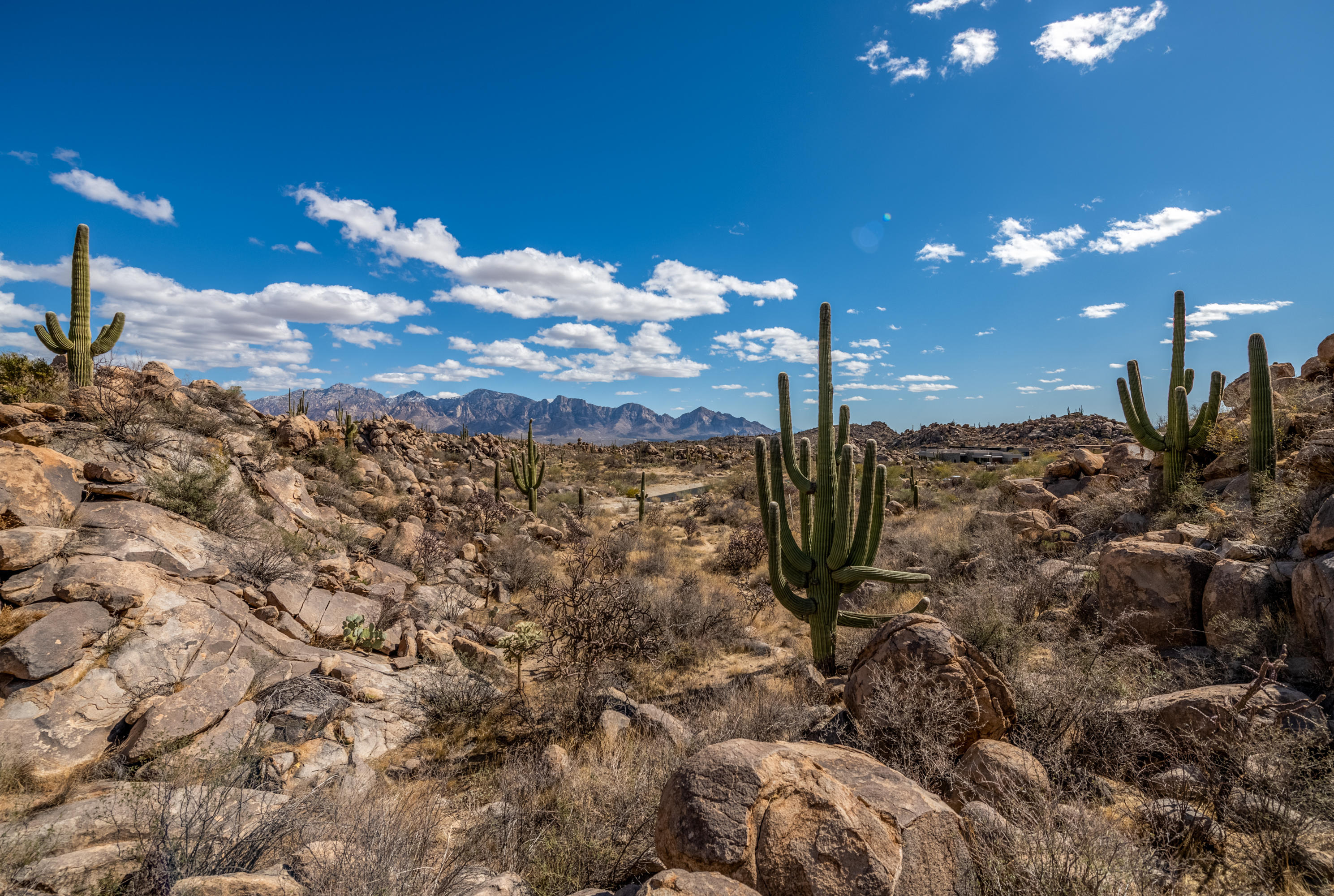 Stone Canyon IV - Land