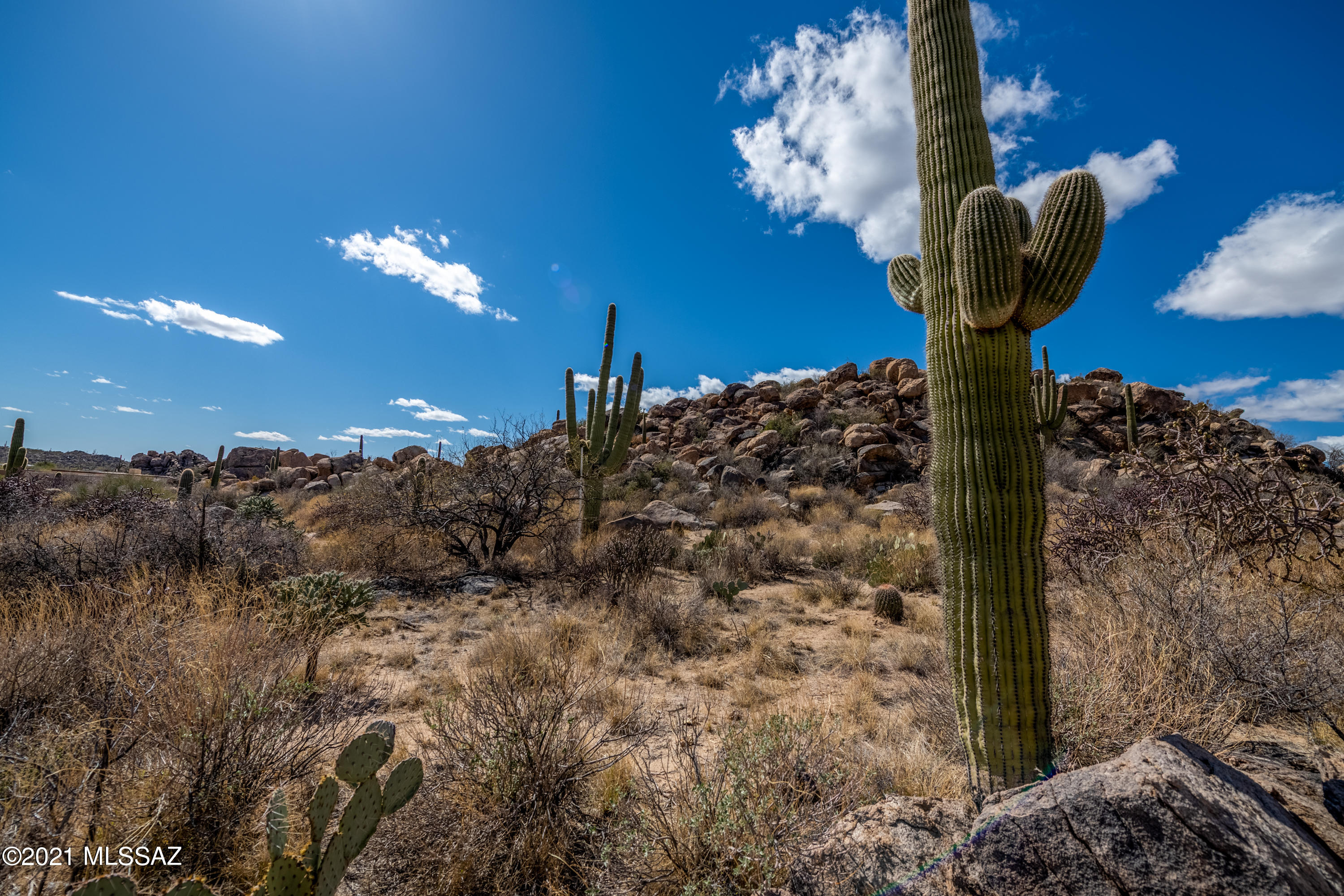Stone Canyon IV - Land