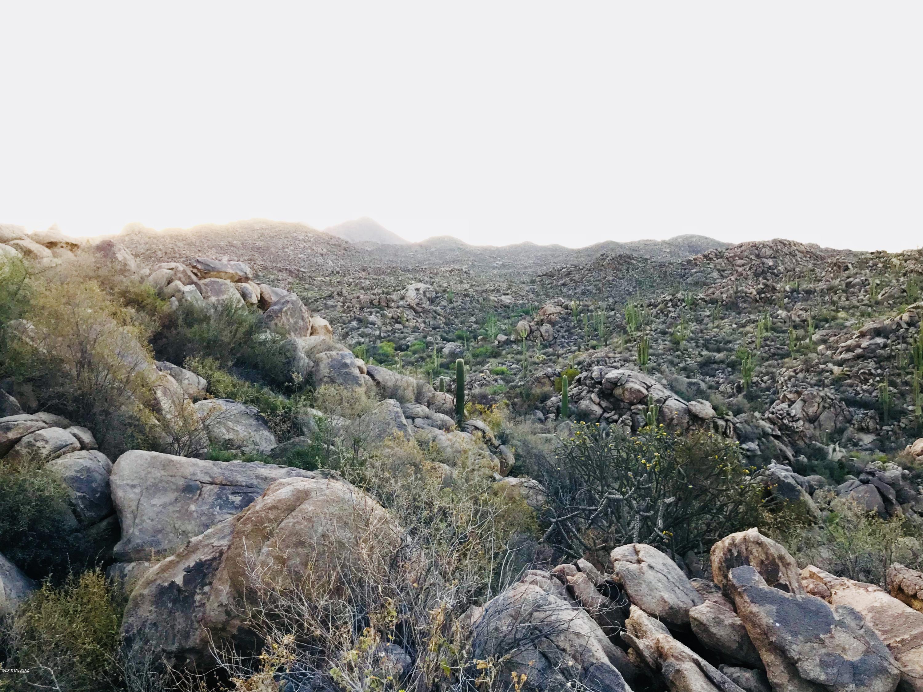 Stone Canyon IV - Land