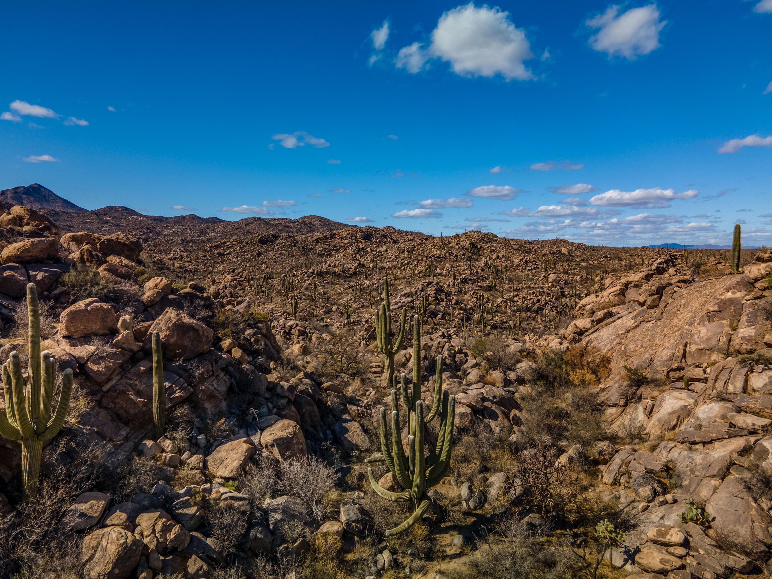 Stone Canyon IV - Land