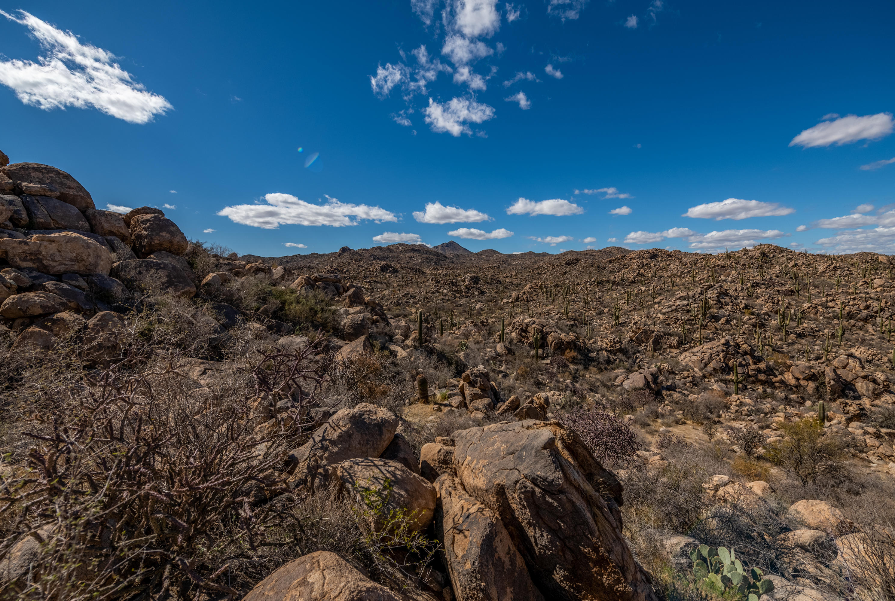 Stone Canyon IV - Land