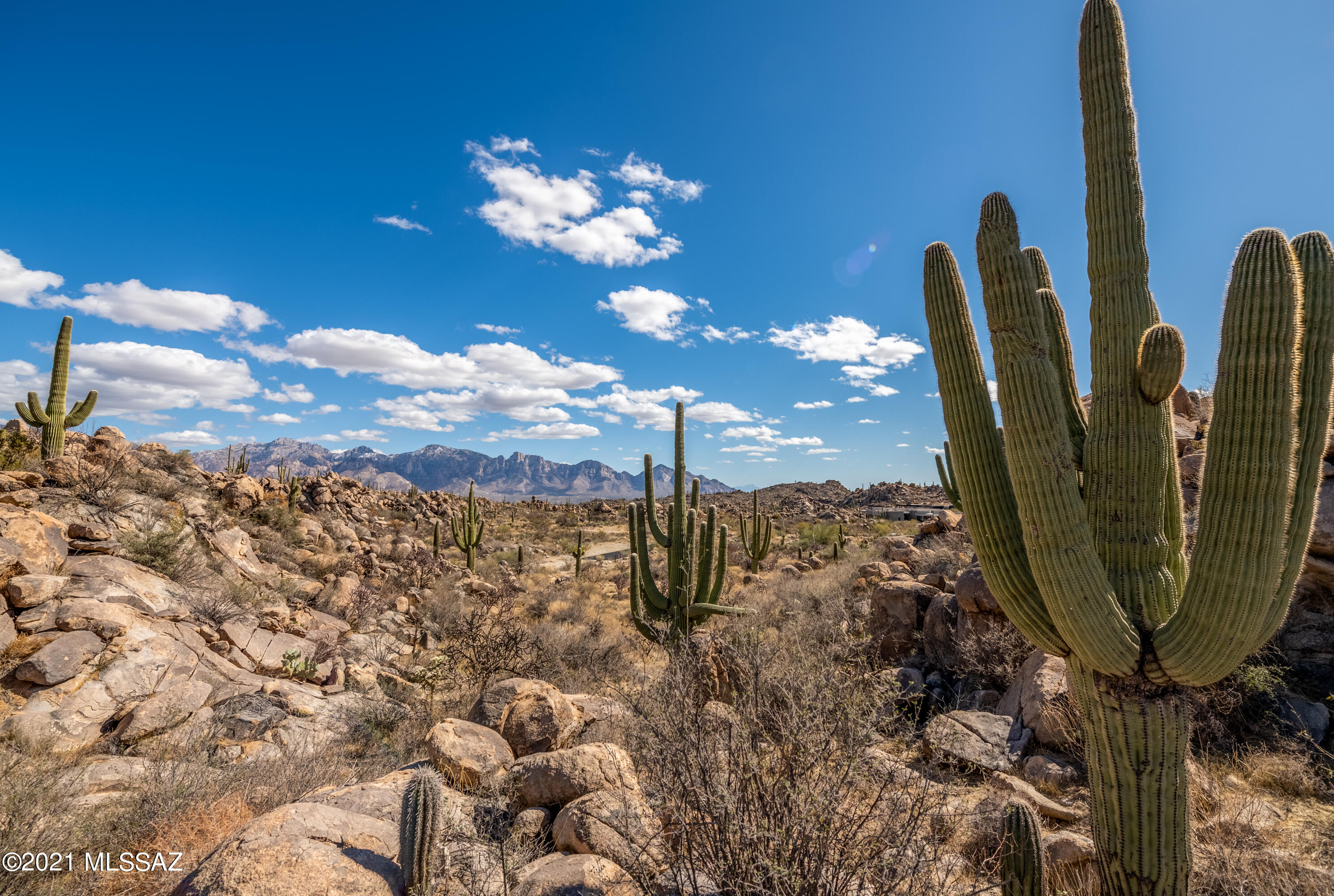 Stone Canyon IV - Land