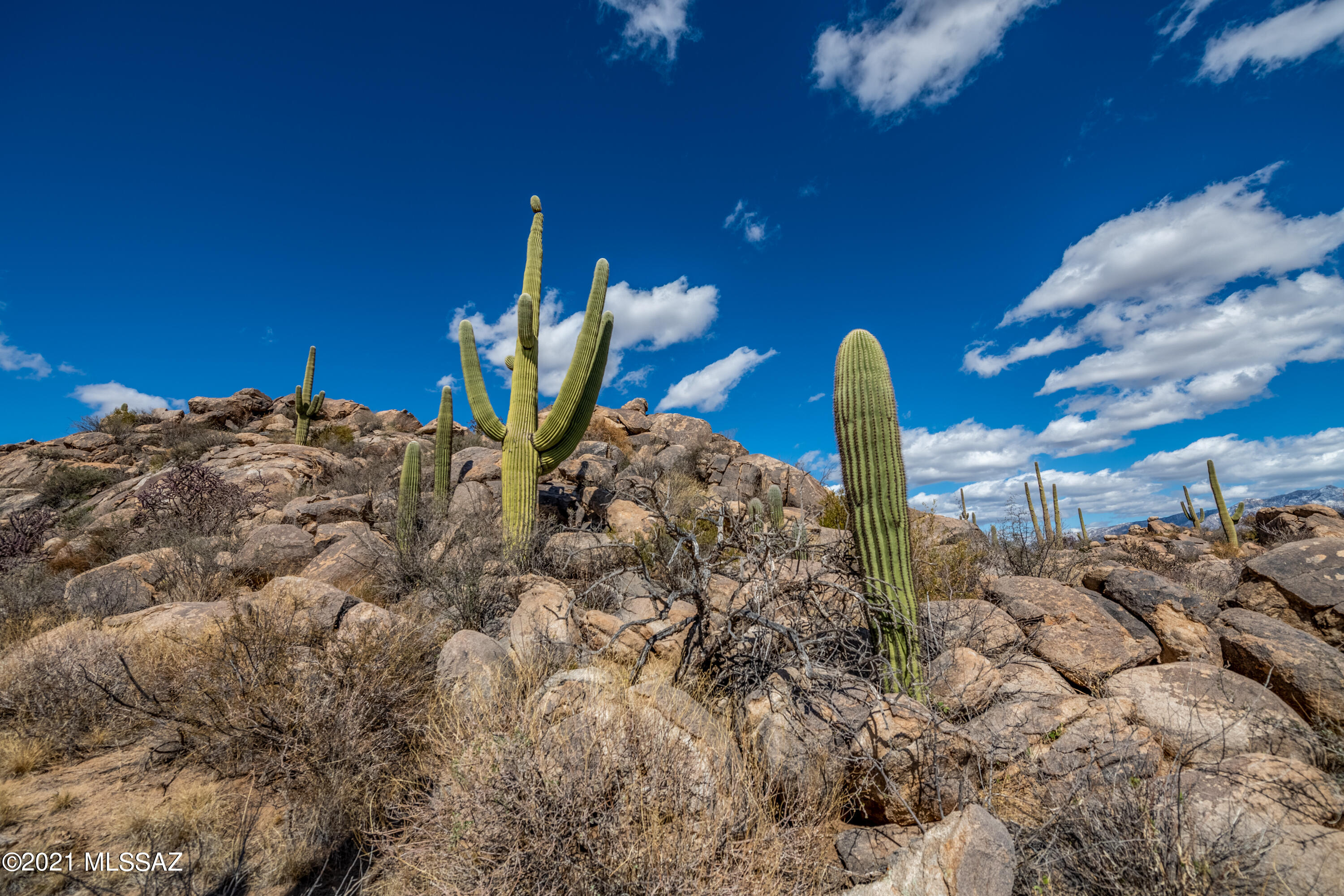 Stone Canyon IV - Land