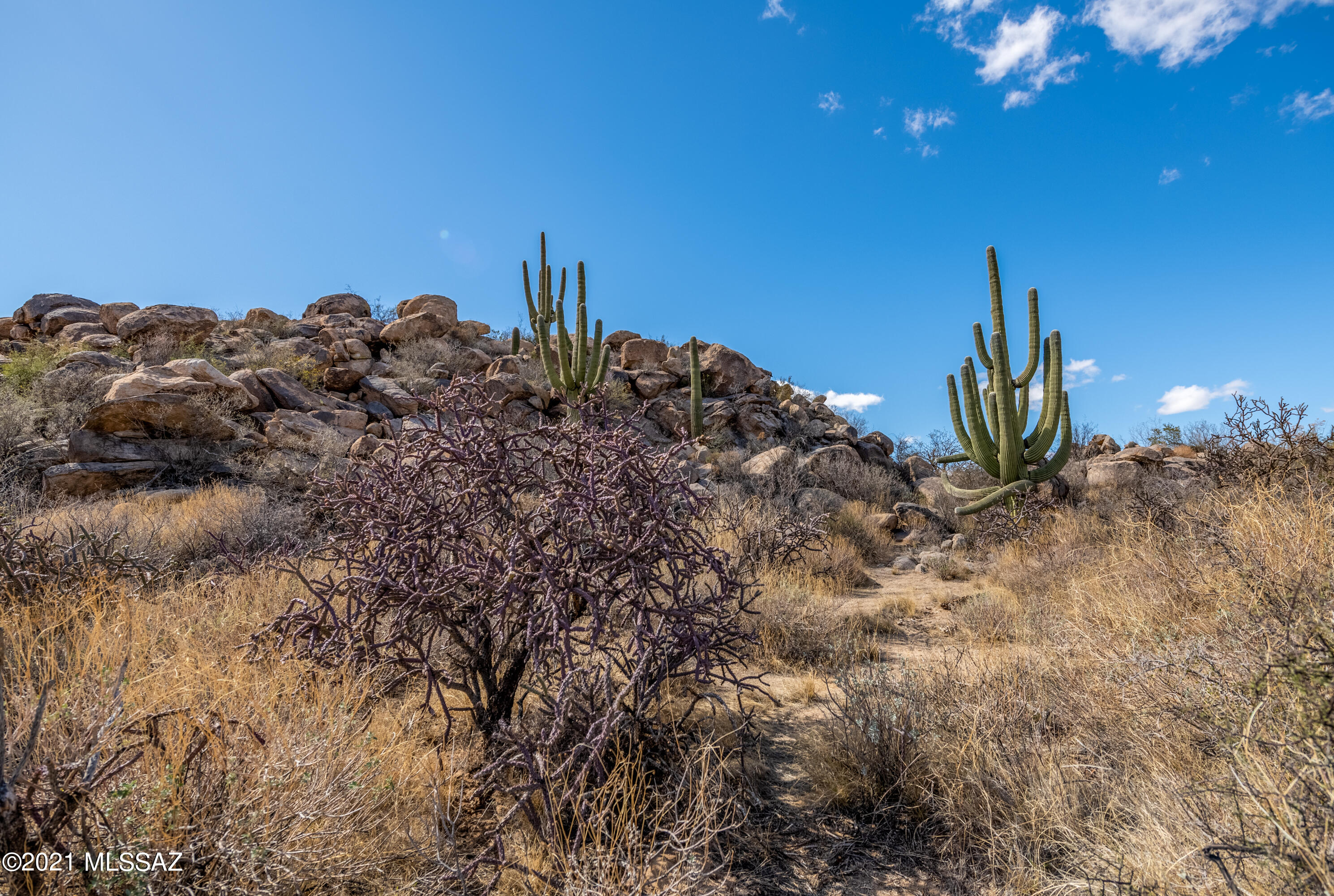 Stone Canyon IV - Land