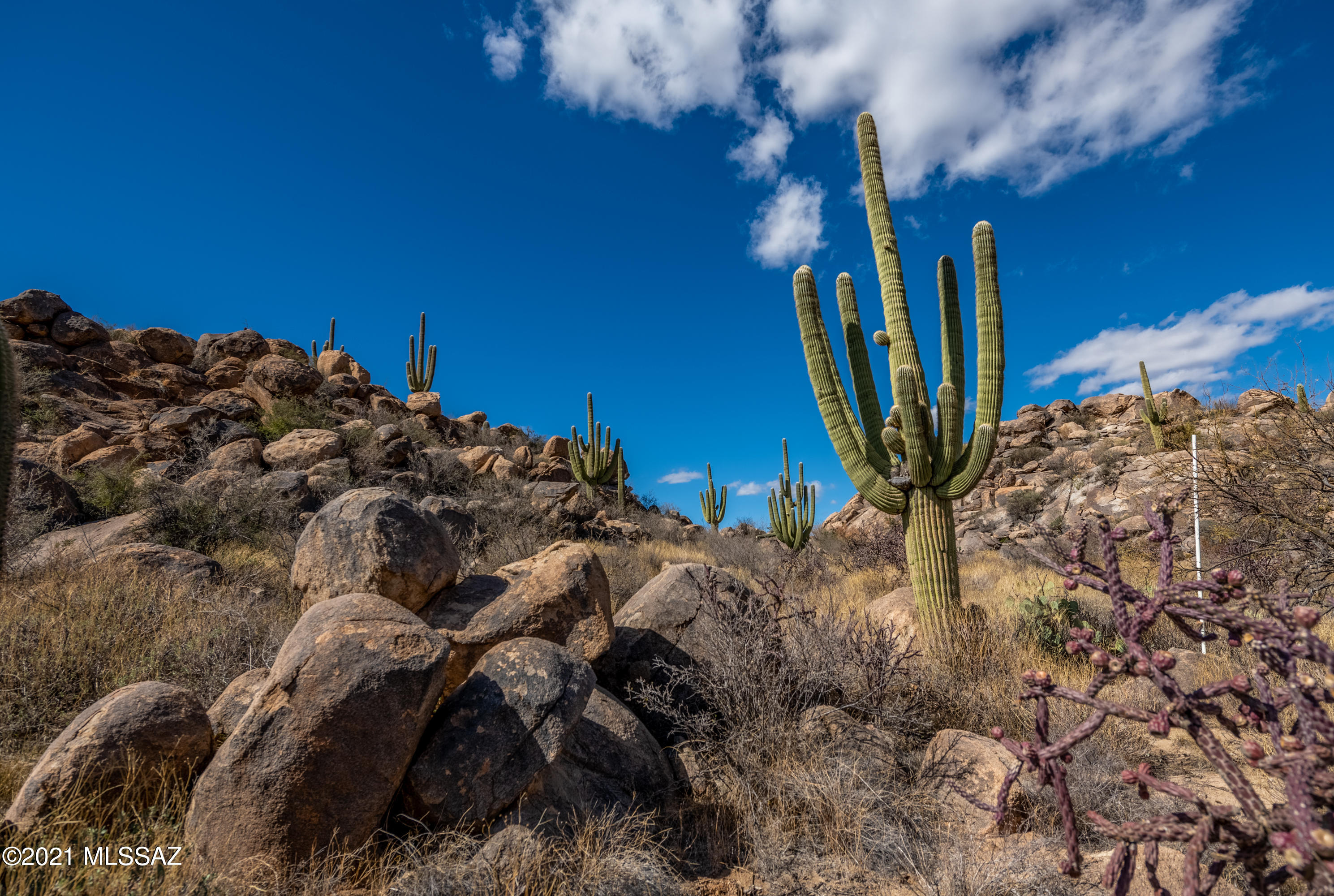 Stone Canyon IV - Land