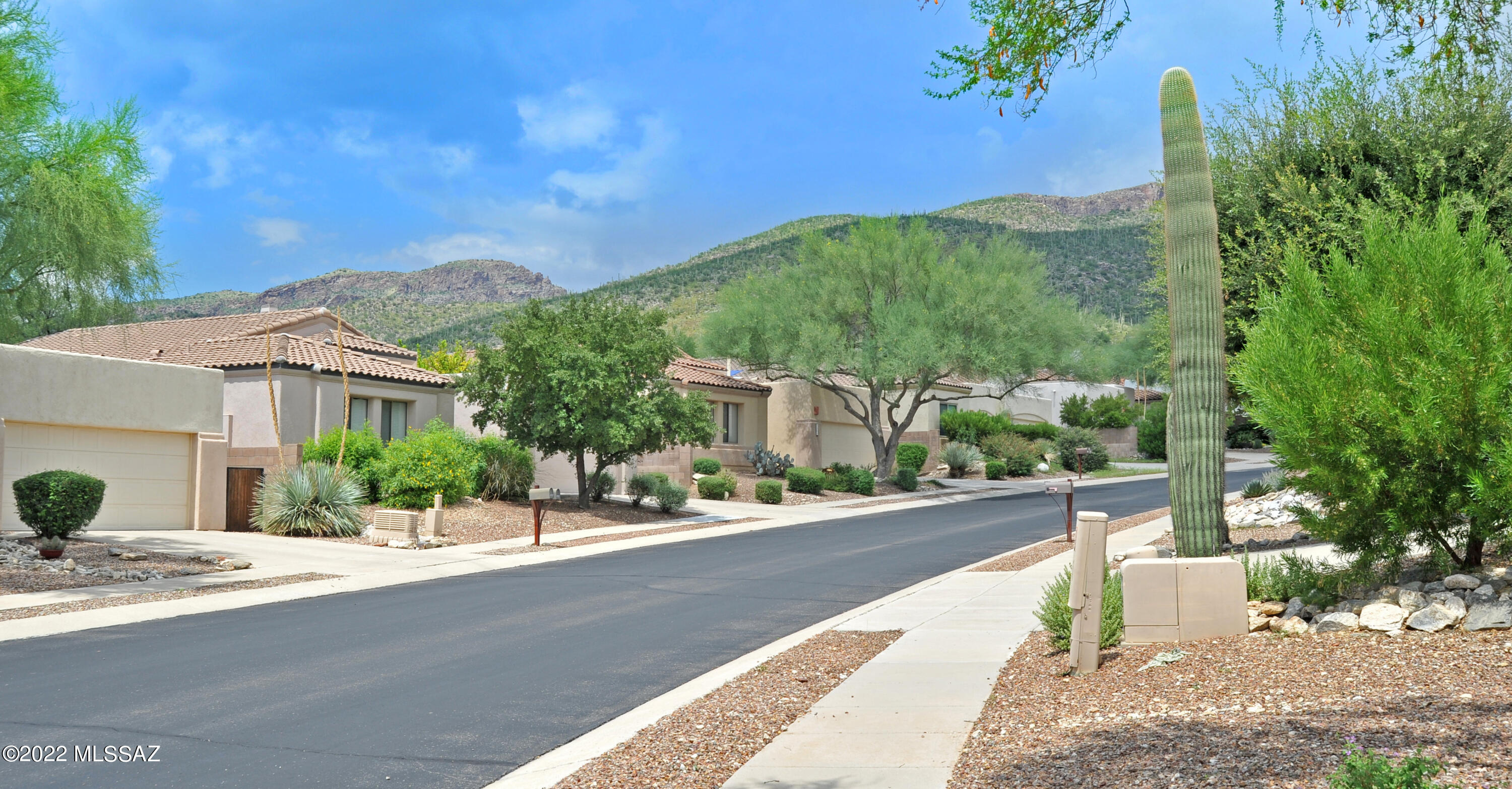 Sabino Heights II at Sabino Springs (1-32) - Residential