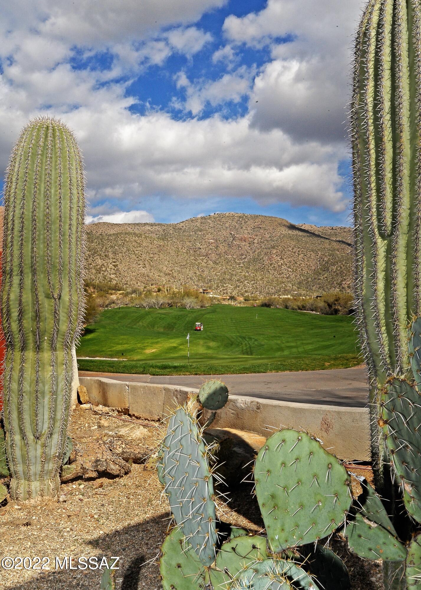 Sabino Heights II at Sabino Springs (1-32) - Residential
