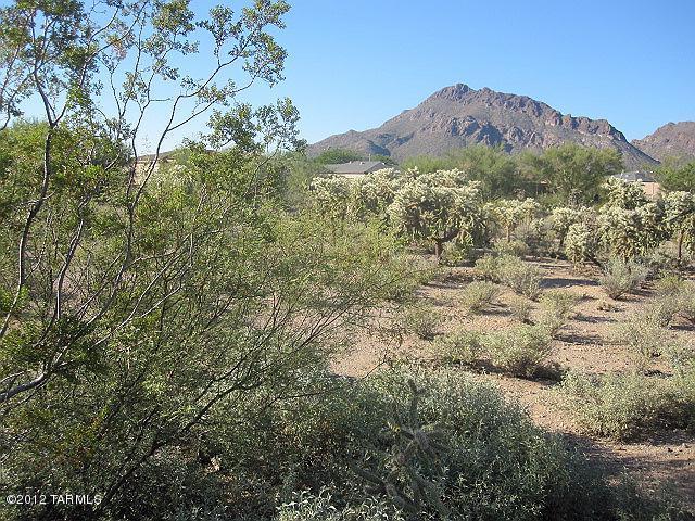 Tucson Mountain Sanctuary (1-154) - Residential Lease