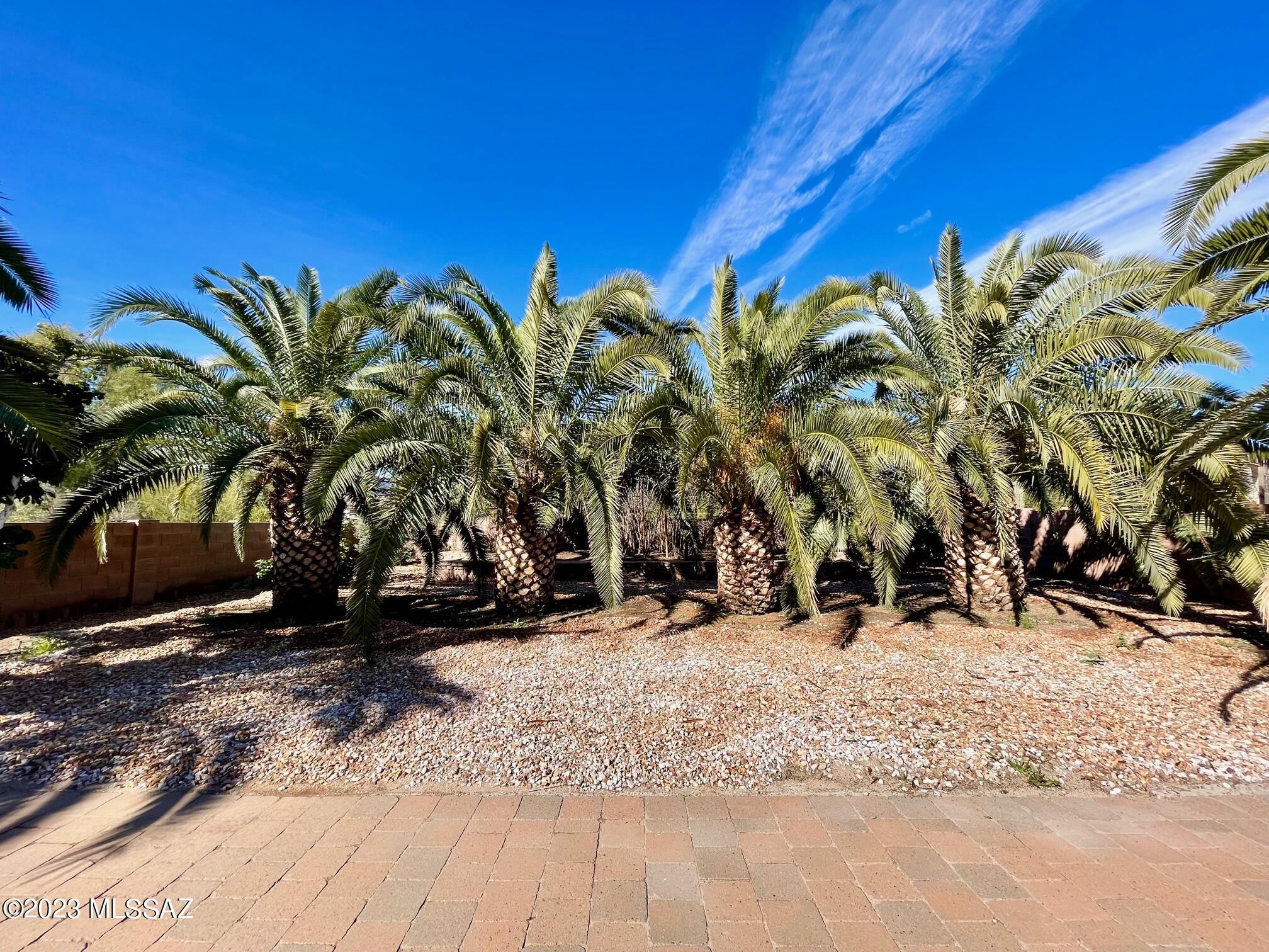 Verde Ranch (1-158) - Residential Lease