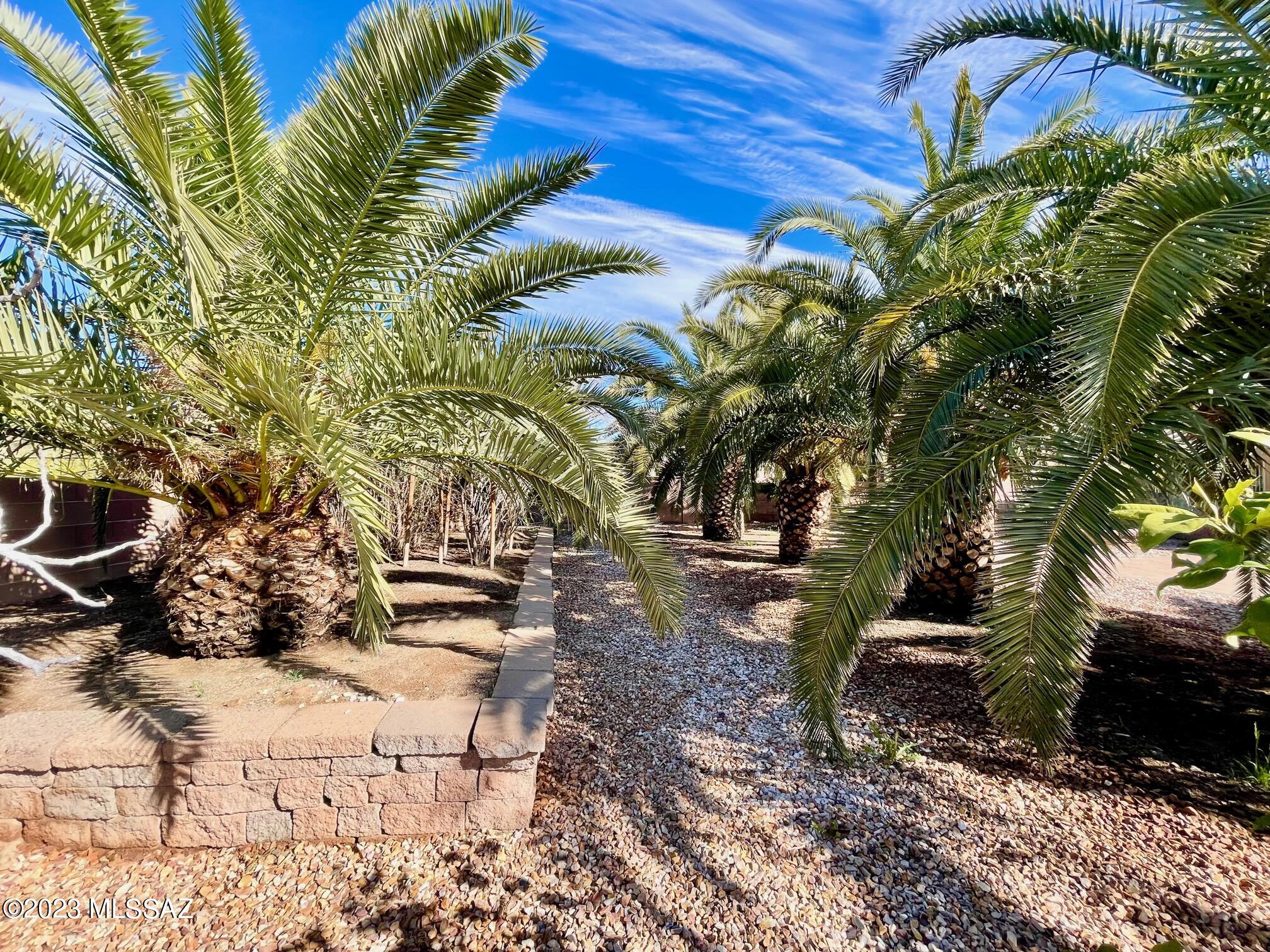 Verde Ranch (1-158) - Residential Lease
